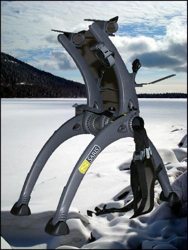 Saris Bones 805 2 Bike Trunk Mount Rack customer photo 2