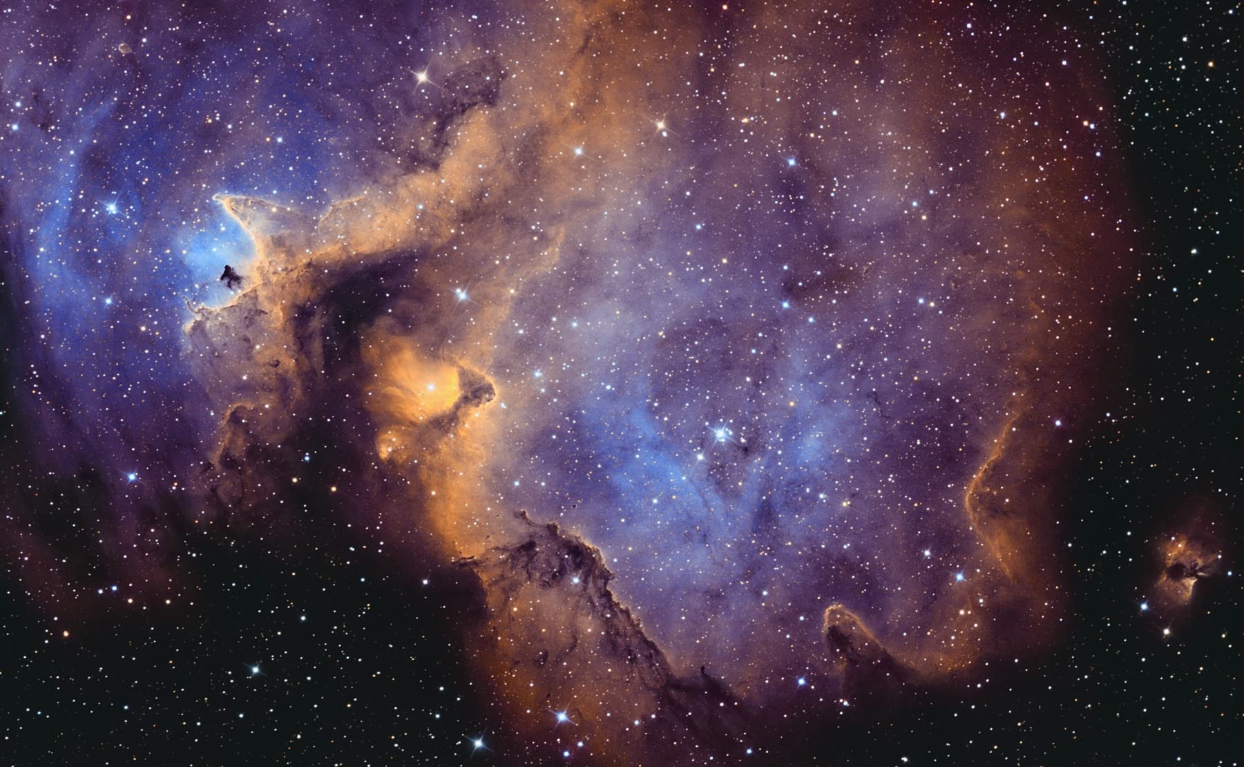 TeleVue Paracorr customer photo 1
