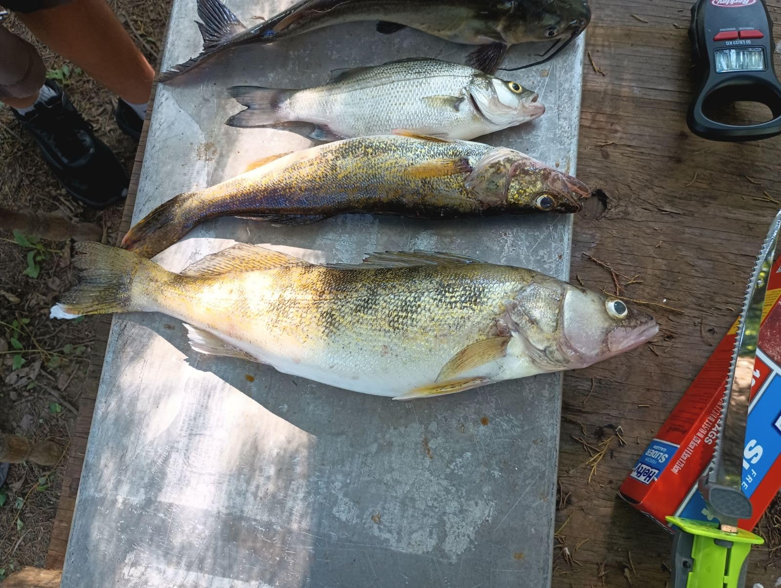 Ugly Stik® Spinning Combo customer photo 2