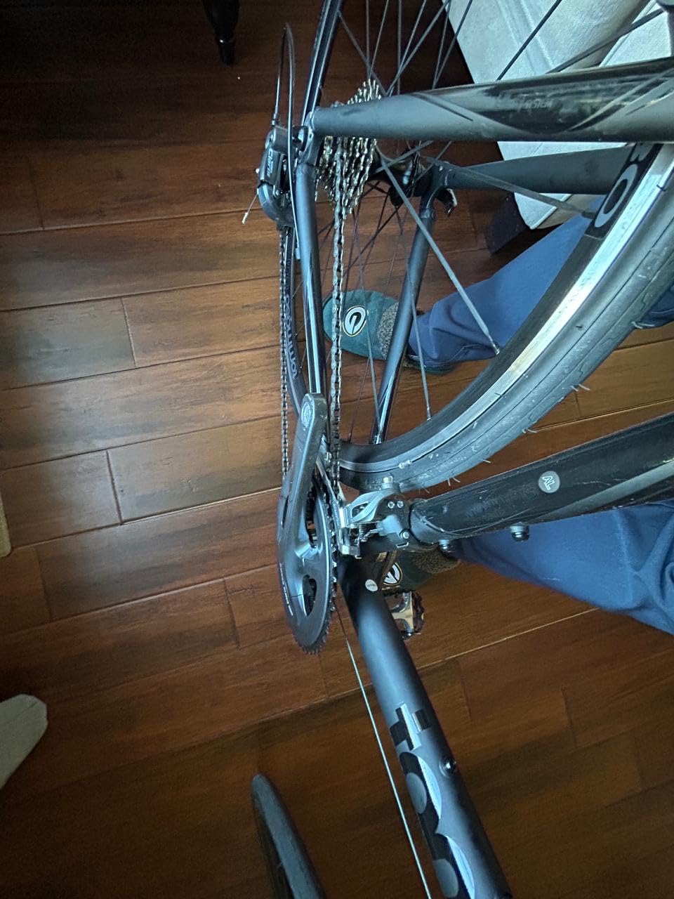 Tommaso Forcella Sport Bike Performance Aluminum Road Bike, Carbon Fork, Shimano Claris 24 Speeds Road Bicycle customer photo 1