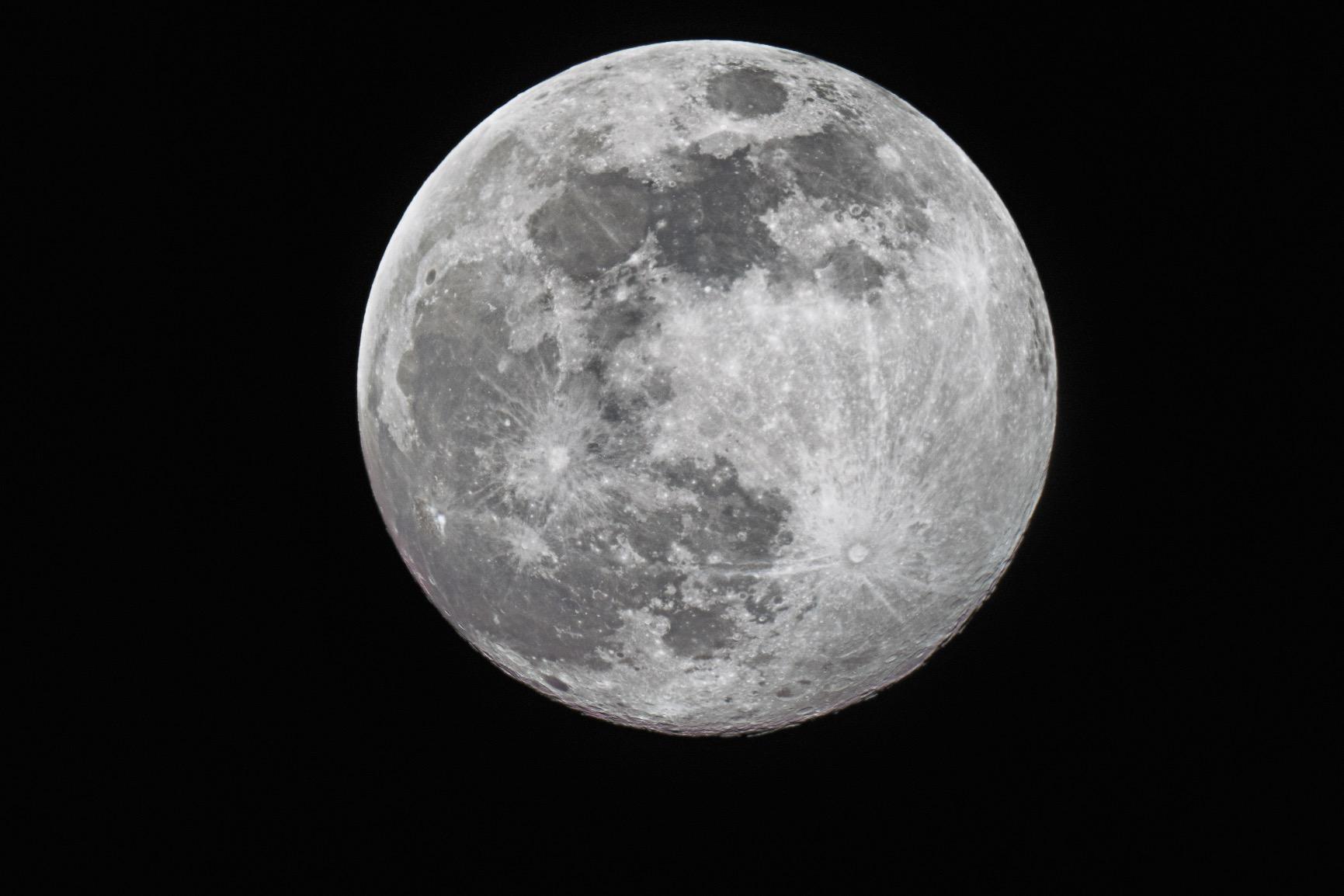 Celestron NexStar Evolution 8 EdgeHD, Schmidt-Cassegrain Telescope with StarSense customer photo 1