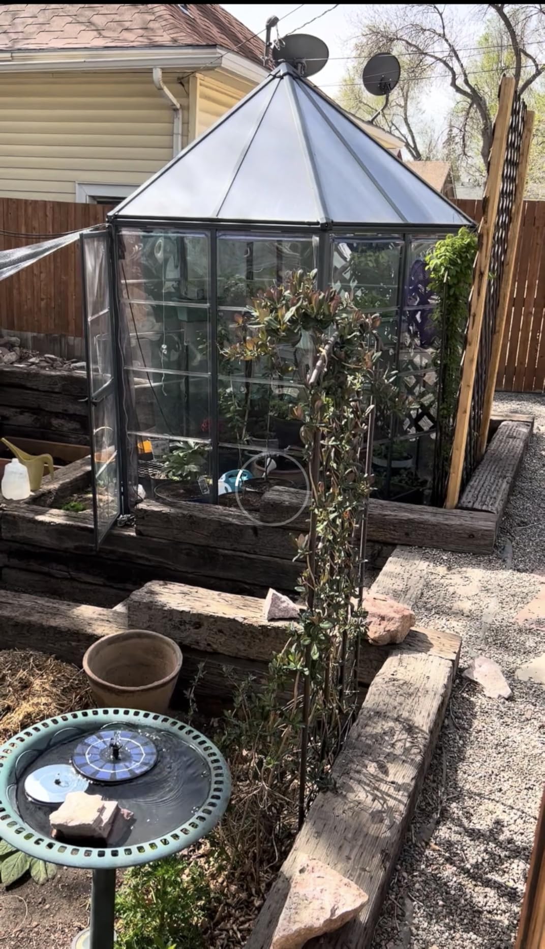 Palram - Canopia Oasis Hex 7' x 8' Polycarbonate Aluminum Greenhouse, Gray | Outdoor Backyard Home Garden Walk-In DIY Kit, Twin-Wall UV Protected, Heavy-Duty Aluminum Frame, Lockable Door, Roof Vent customer photo 1