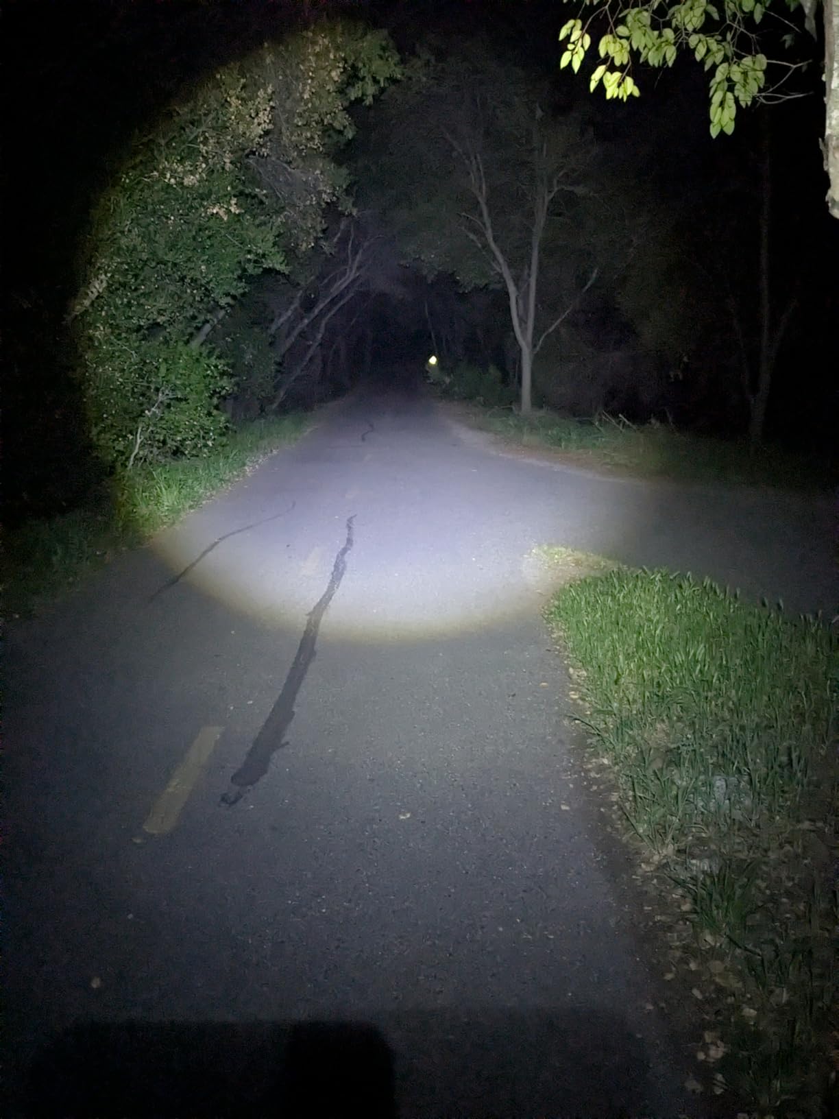 DanForce Headlamp, USB Rechargeable LED Head Lamp, Ultra Bright LUMINUS 1080 Lumen Headlamp Flashlight + Red Light, HeadLamps for Adults, Camping, Outdoors & Hard Hat Light, Zoomable IPX54 Headlight customer photo 2