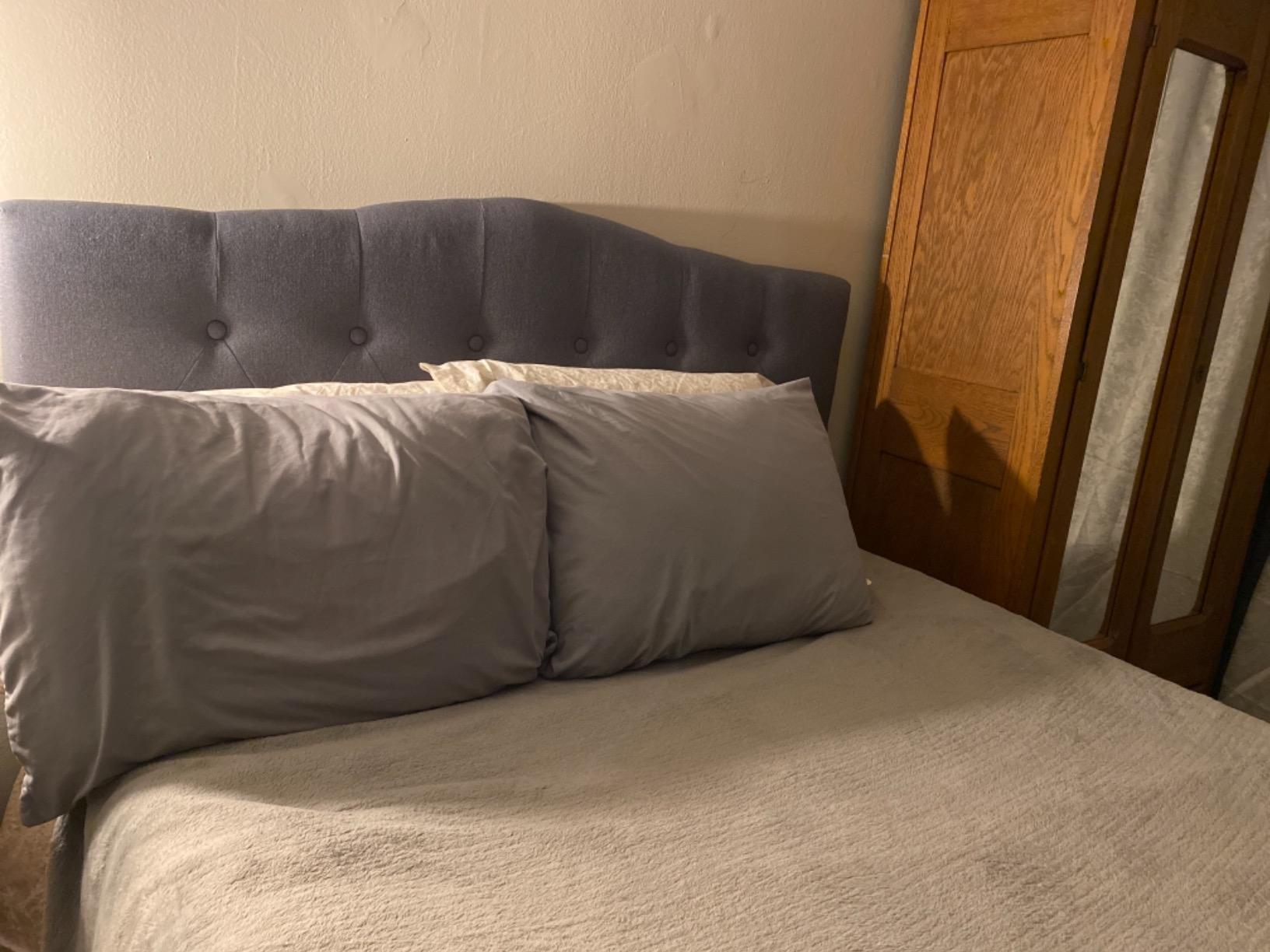 Flash Furniture Cambridge Tufted Upholstered Queen Size Headboard in Beige Fabric customer photo 1