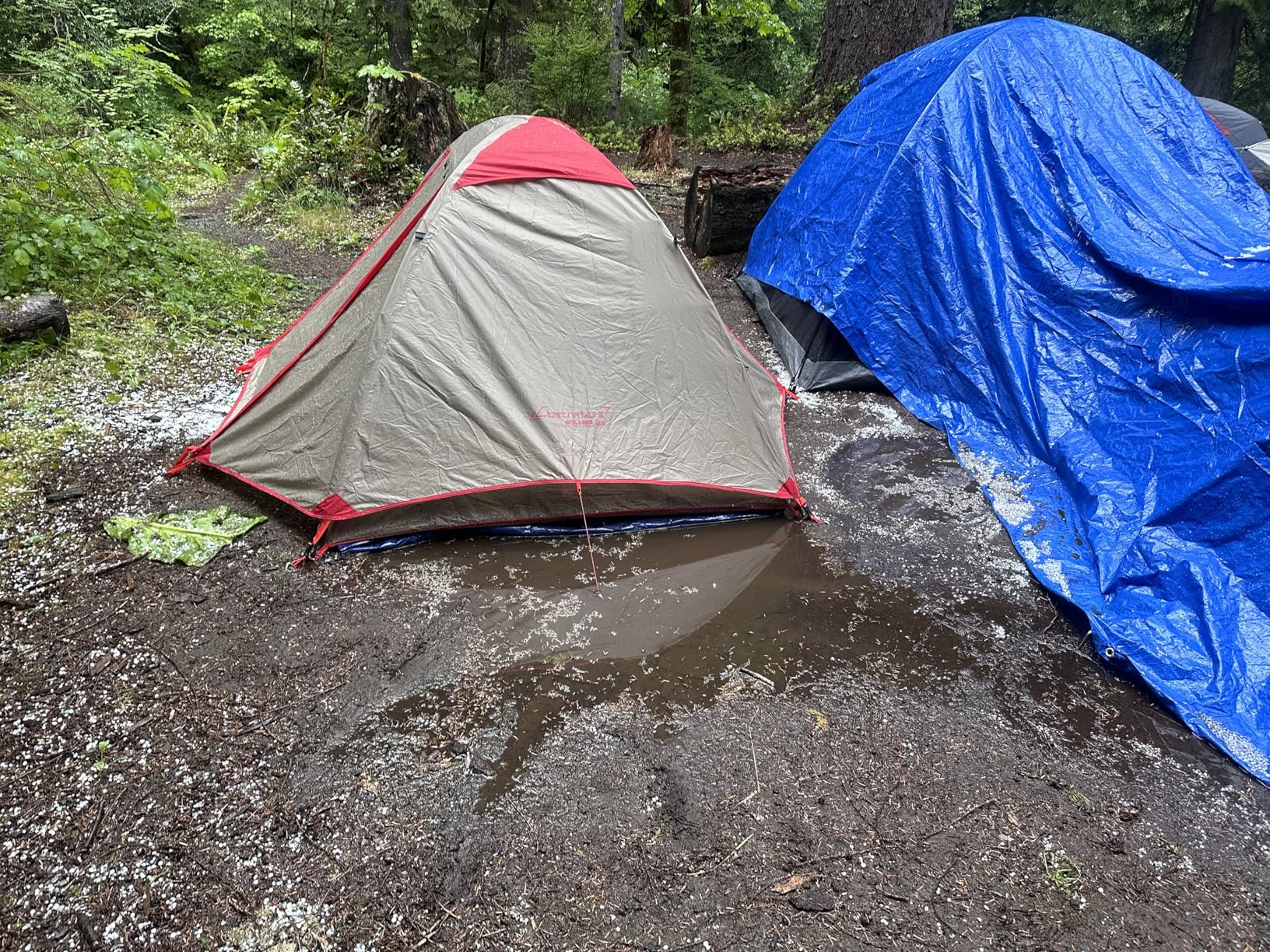 Clostnature Lightweight Backpacking Tent - Ultralight Waterproof Camping Tent, 3 Season Large Size Easy Setup Tent for Family, Outdoor, Hiking and Mountaineering customer photo 1