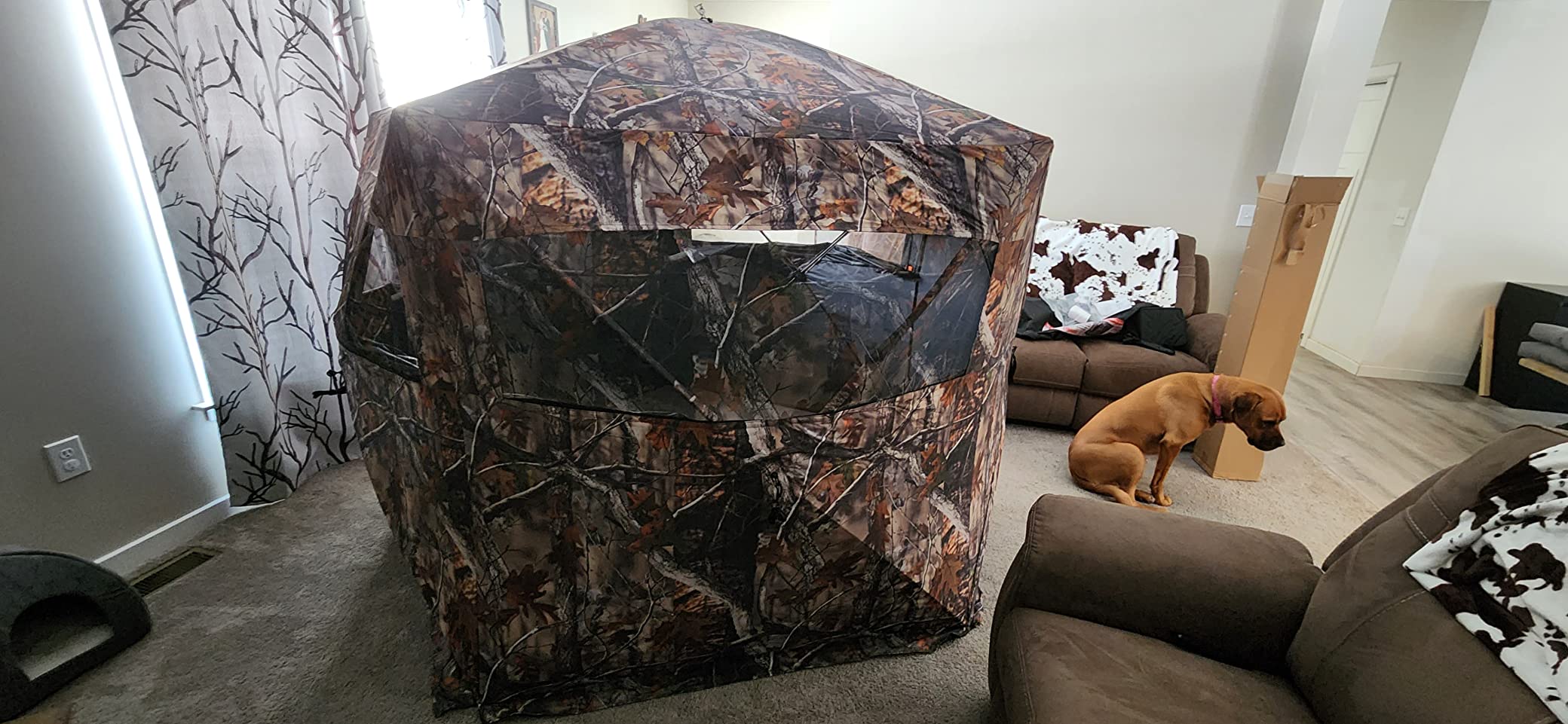 THUNDERBAY Gobbler Lodge 5-Side Hunting Blind, 4 Person Ground Blind for Deer Hunting, 300D Oxford Fabric Deer Blind, JX Hardwood Camo Pattern customer photo 1