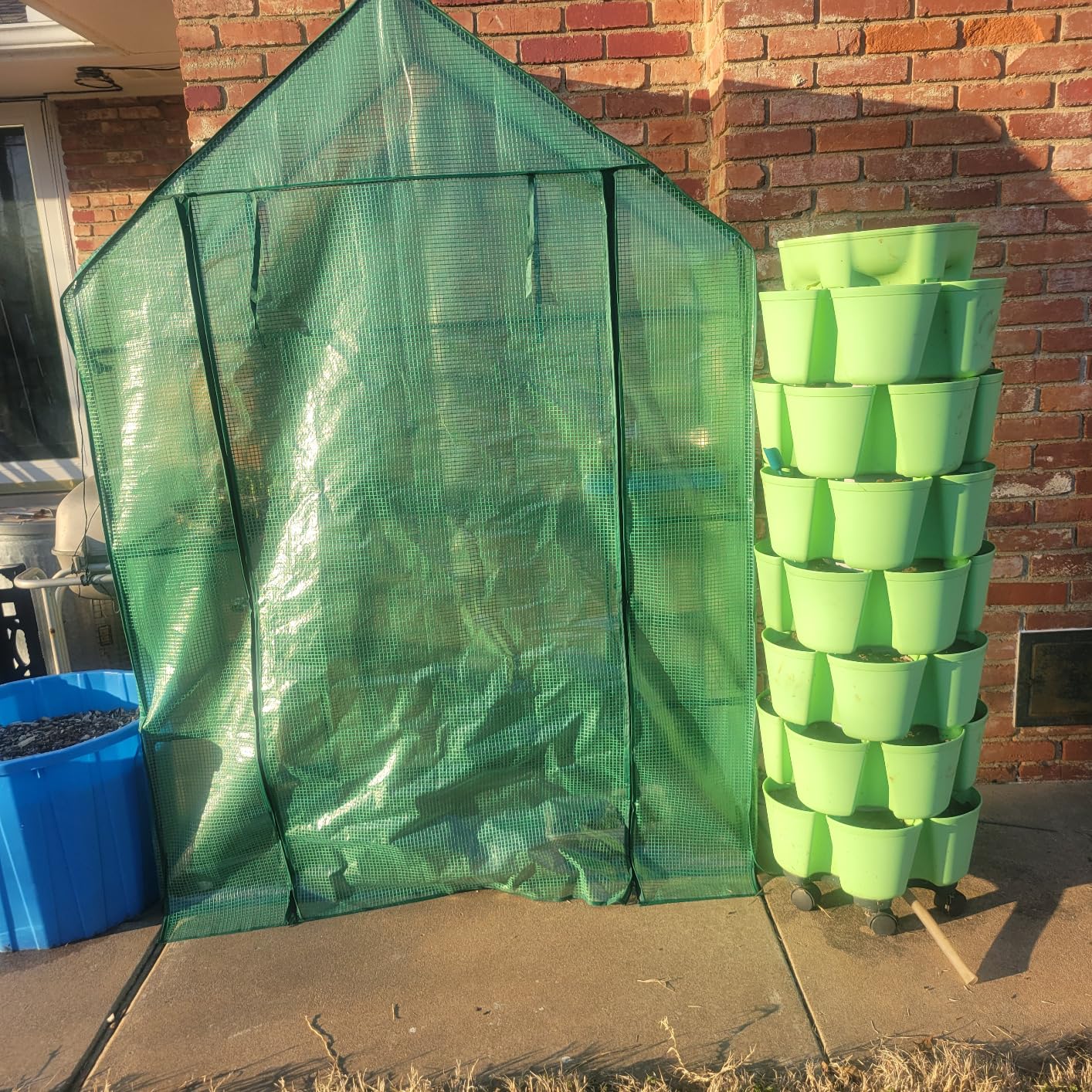 Portable Walk-in Greenhouse for Outdoors, 56x30x76 Plant House with Shelves | Green PE Cover, Roll-Up Door, 3-Tier Shelves, Steel Frame, Stakes and Ropes for Seed Starting, Flowers and Outdoor Gardening customer photo 1