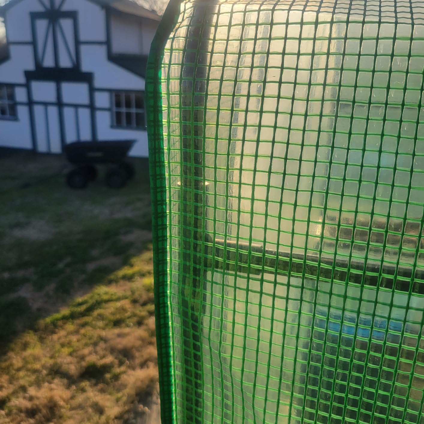 Portable Walk-in Greenhouse for Outdoors, 56x30x76 Plant House with Shelves | Green PE Cover, Roll-Up Door, 3-Tier Shelves, Steel Frame, Stakes and Ropes for Seed Starting, Flowers and Outdoor Gardening customer photo 2