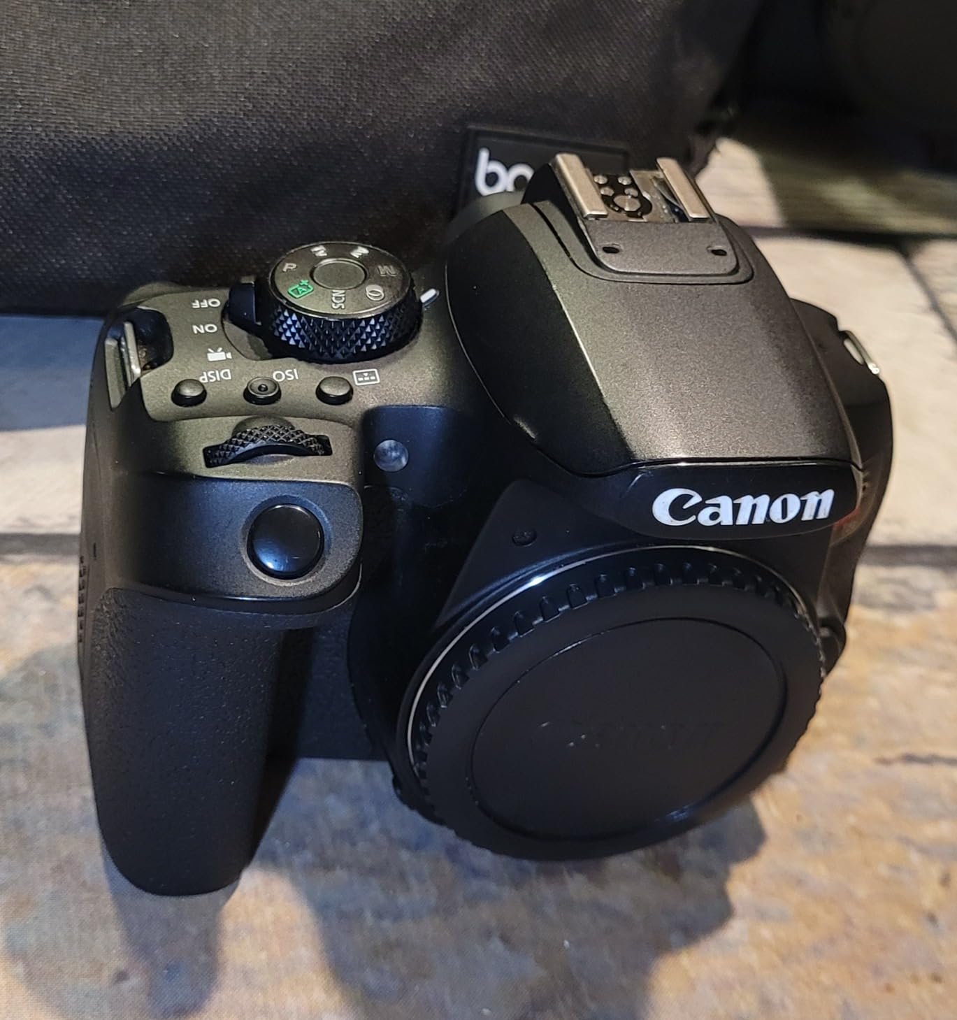 Canon EOS Rebel T8i EF-S 18-55mm is STM Lens Kit, Black (Renewed) customer photo 2