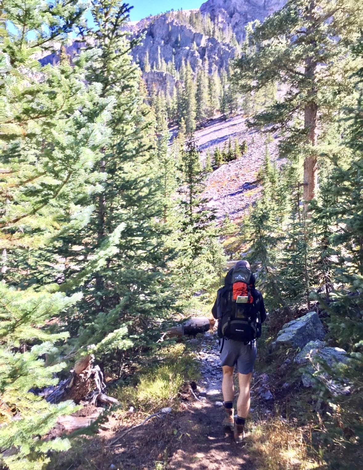 Teton 55L Scout Internal Frame Backpack for Hiking, Camping, Backpacking, Travel, Rain Cover Included, Olive customer photo 2