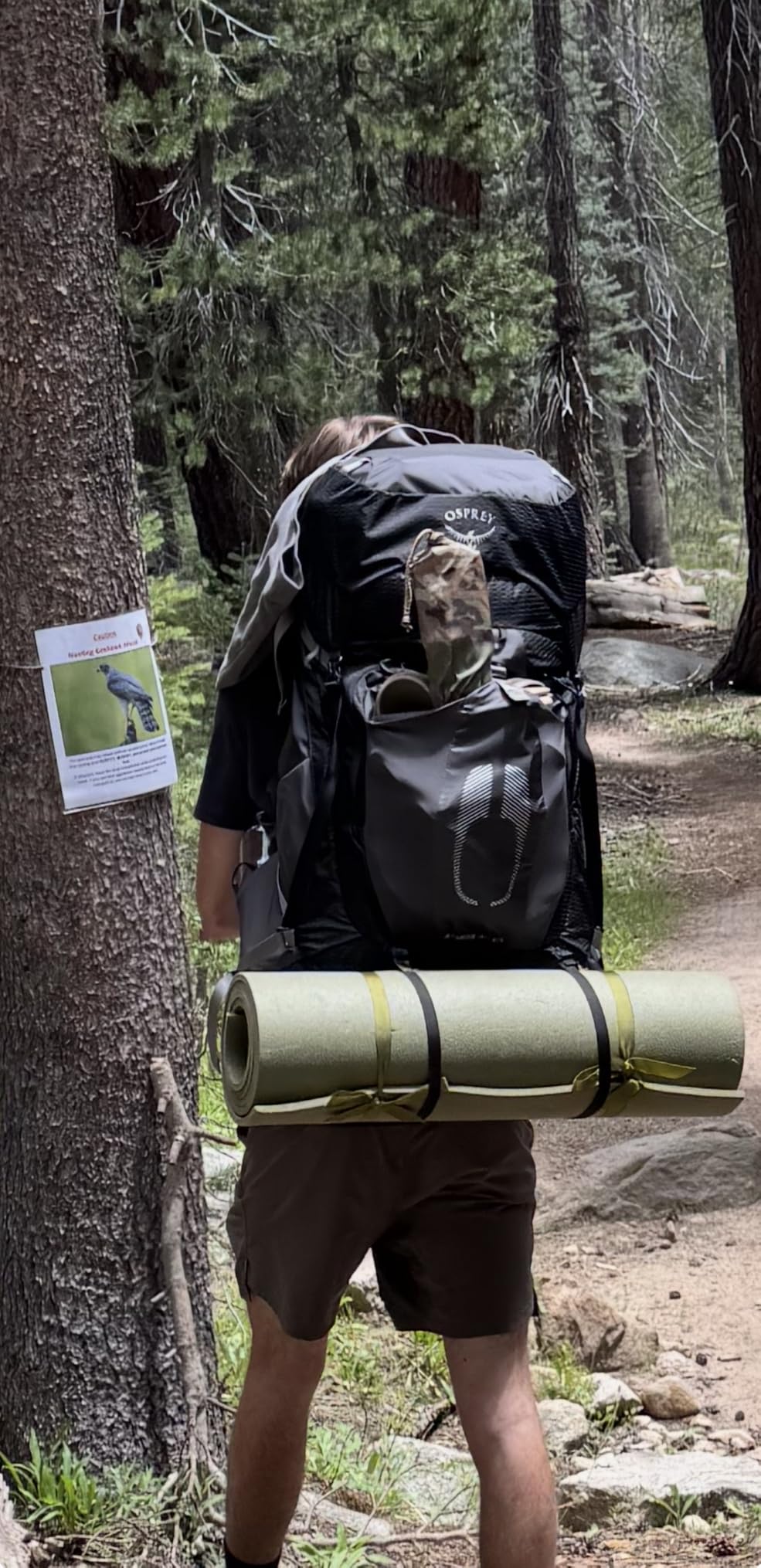 Osprey Atmos AG 65L Men's Backpacking Backpack, Mythical Green, L/XL customer photo 1