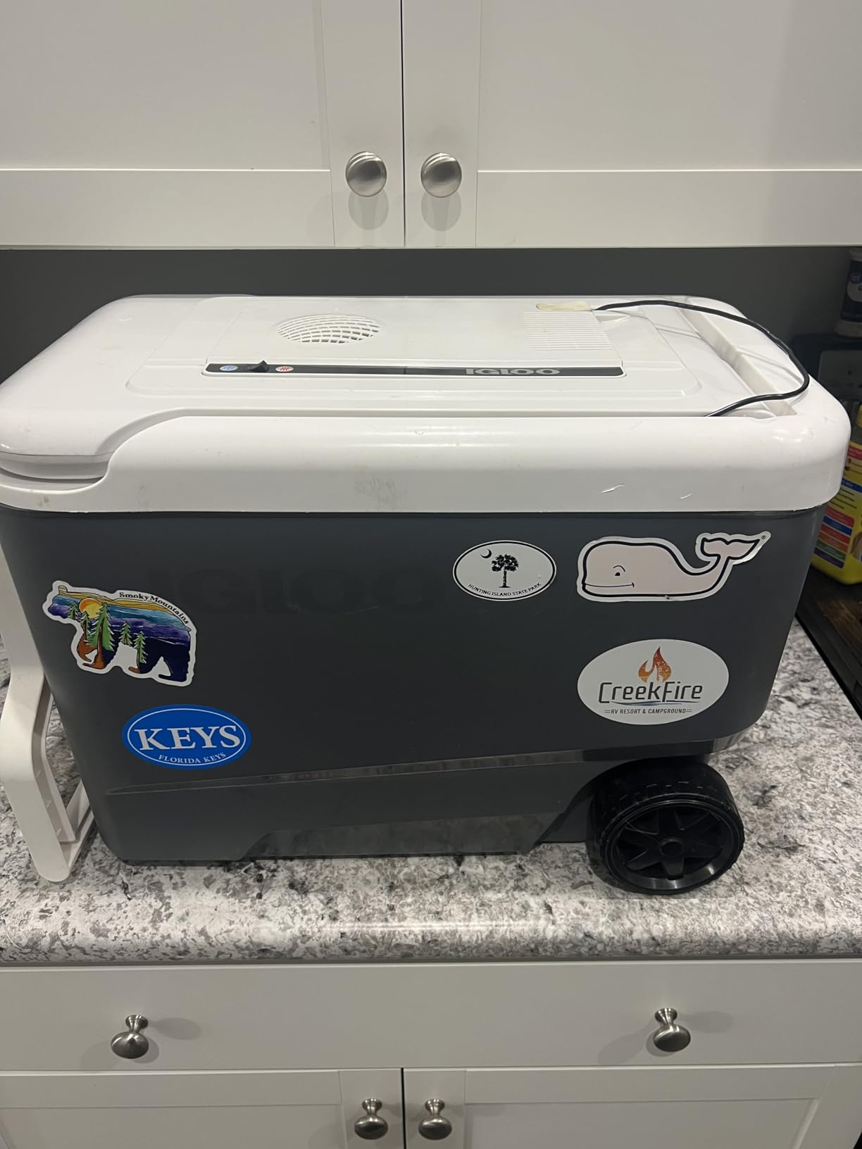 Igloo Iceless Thermoelectric Cooler | Portable Electric Plug-in Coolers customer photo 1