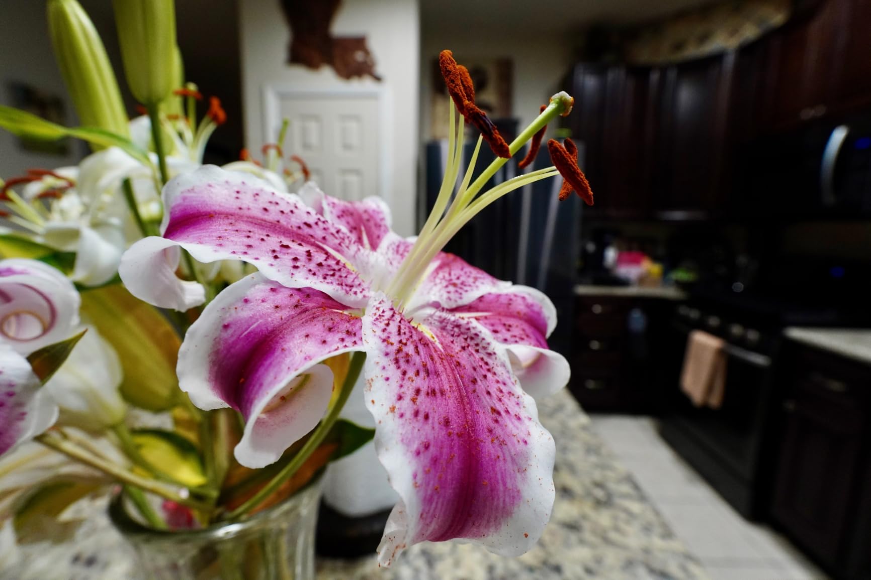 Sony E 11mm F1.8 APS-C Ultra-Wide-Angle Prime Lens customer photo 1