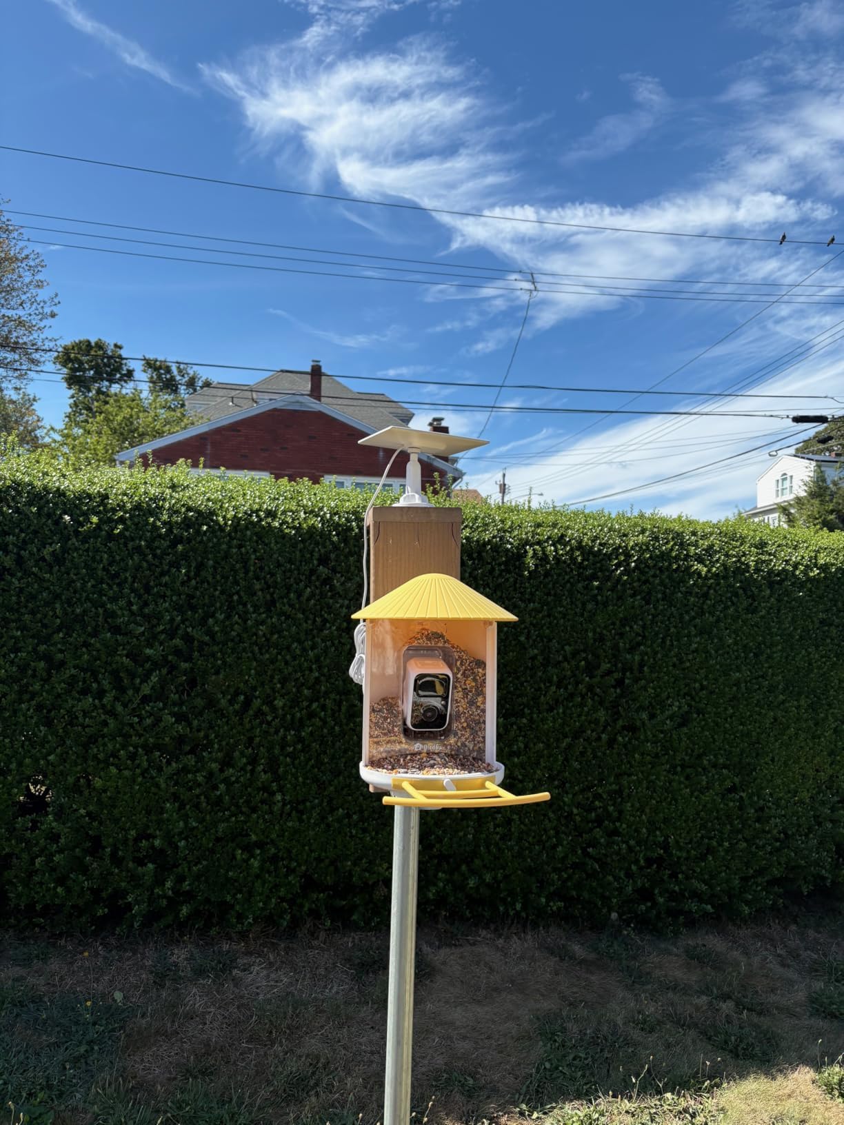 NETVUE by Birdfy Smart Bird Feeder with AI Camera, Auto Capture Videos and Live Stream, Wireless Wildbird Watching, Outdoor Backyard Birder(AI by Subscription) Blue customer photo 2