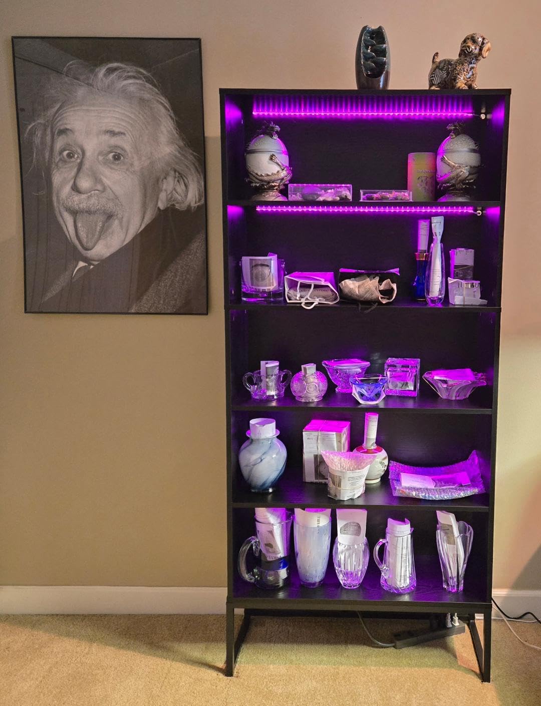 Tribesigns Tall Bookcase Black Bookshelf, 70.8