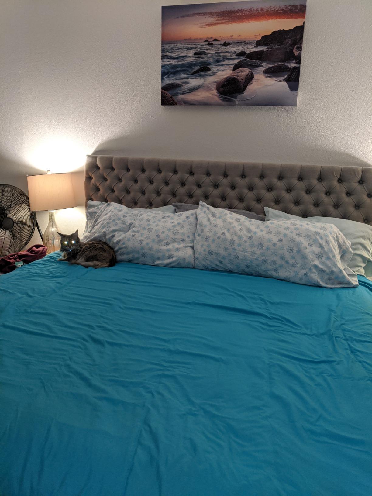 Full Size Bed Frame, 3 Inches Wide Wood Slats,18 Inch Tall Metal Platform, Heavy Duty 3500lbs Support for Mattress, No Box Spring Needed, Noise Free customer photo 1