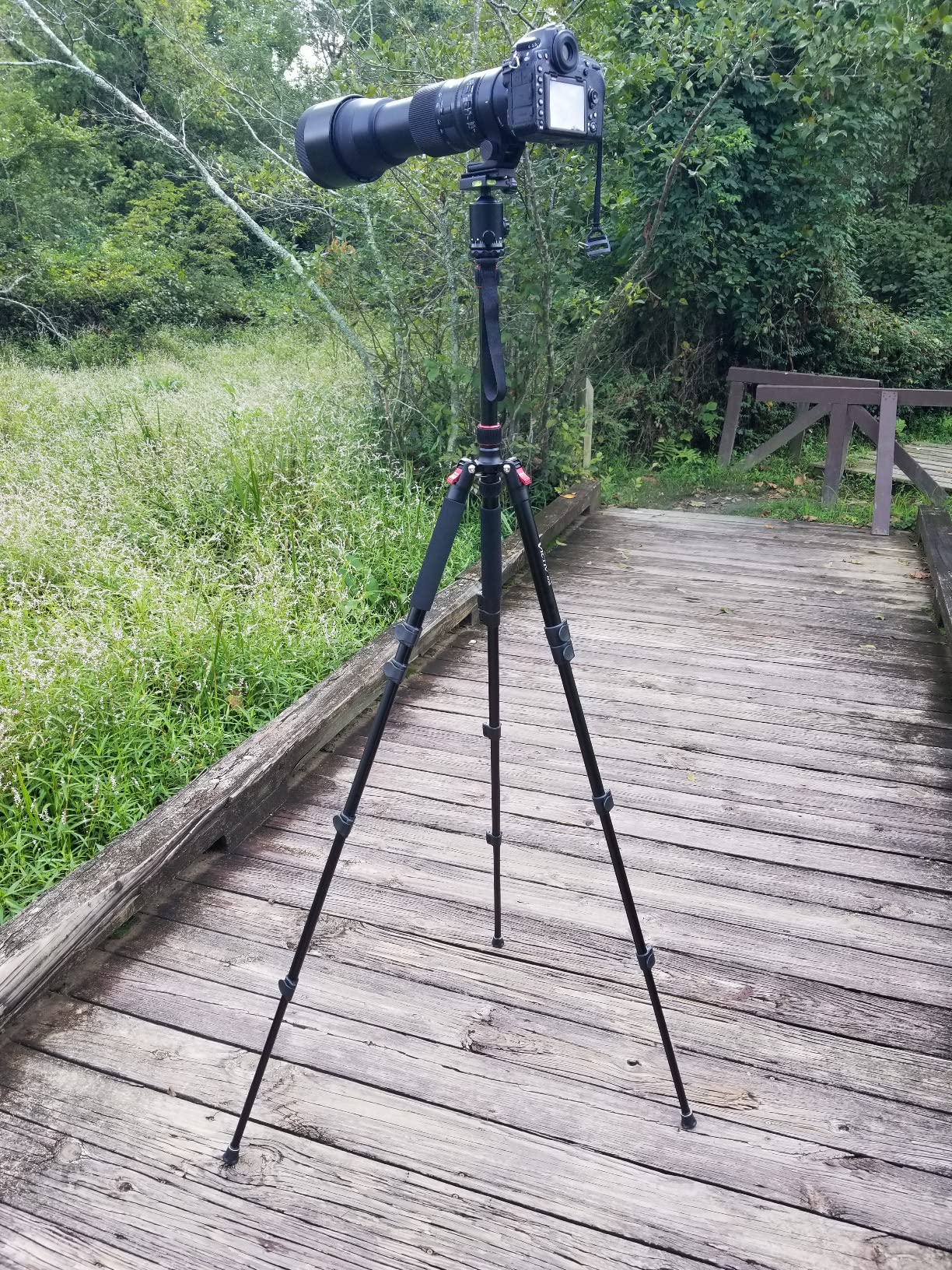 Professional DSLR Tripod for Photography - Tall, Lightweight & Heavy Duty - Spotting Scopes, Telescope & Binoculars - Compact Complete Tripod Unit customer photo 1