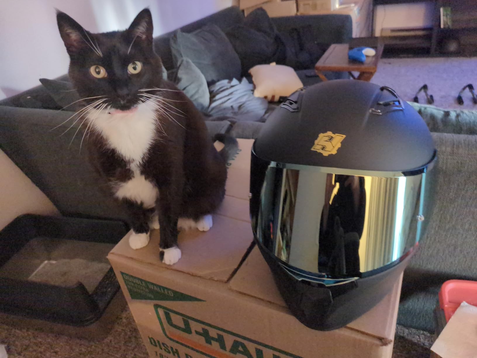 HAX Obsidian Full Face Dual Visor Adult Motorcycle Helmet with Pinlock Ready DOT Approved customer photo 2