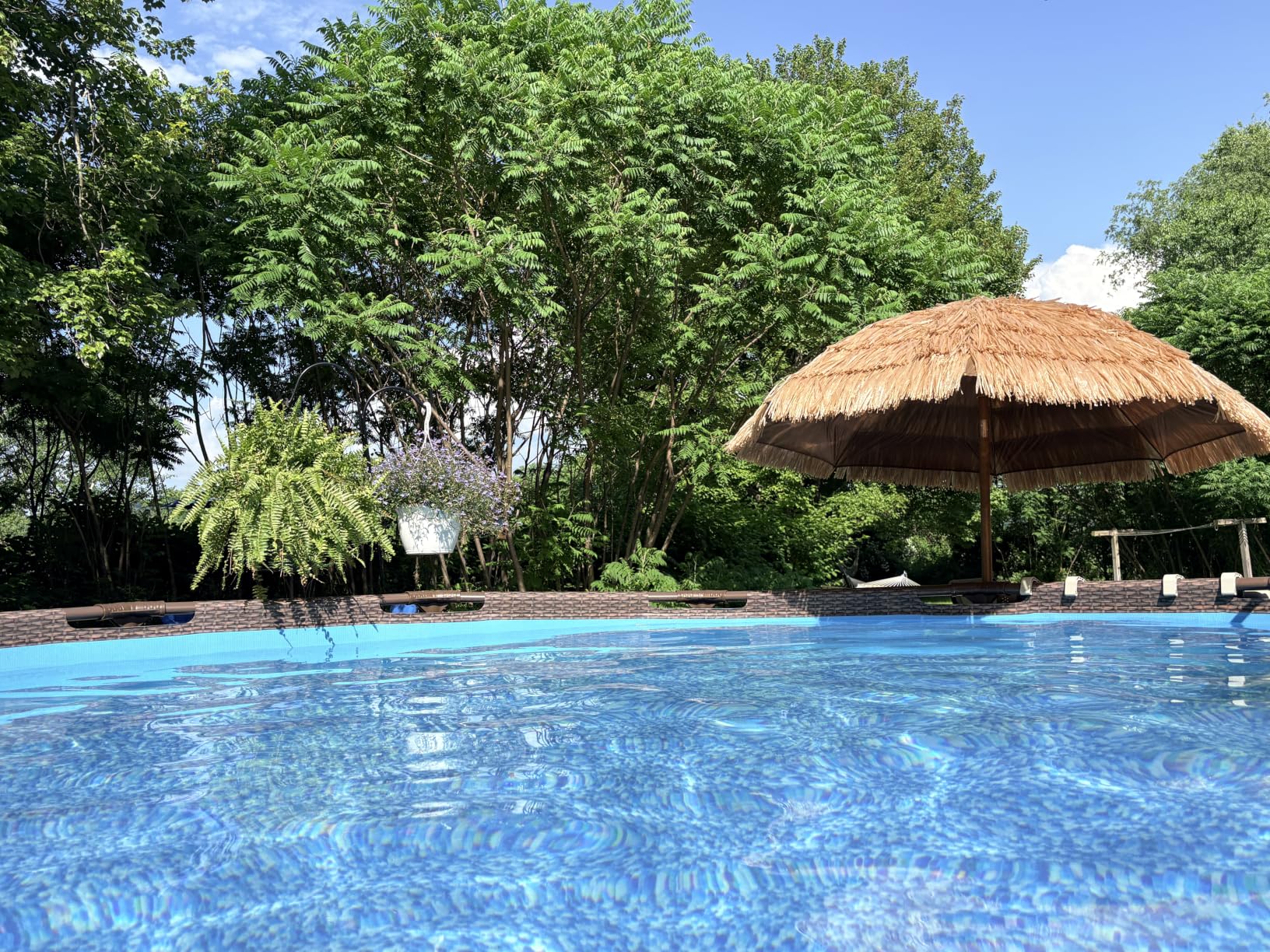 Bestway Steel Pro MAX 13ft x 42in Above Ground Pool Set with Canopy, Filter Pump, Ladder, and Cover customer photo 1