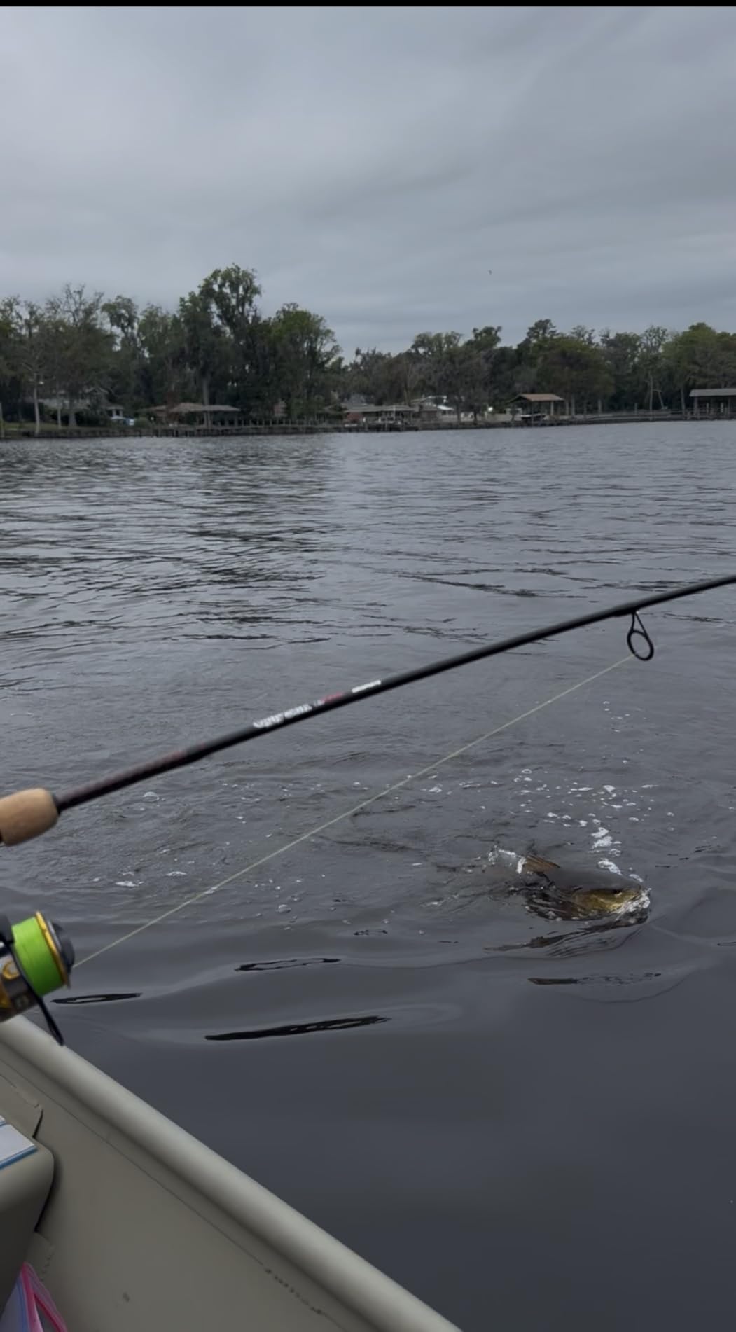 Penn Battle IV Spinning Fishing Reel customer photo 2