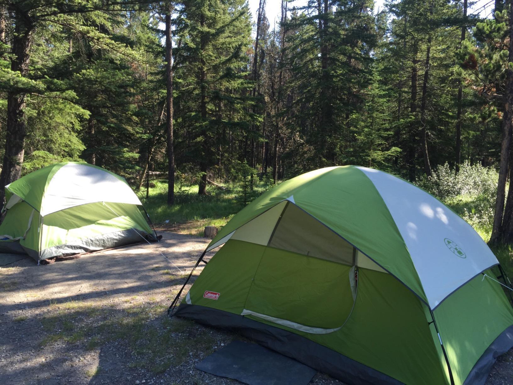 Coleman Sundome Camping Tent with Rainfly, 2/3/4/6 Person Tent Sets Up in 10 Mins, Weatherproof Shelter for Camping, Festivals, Backyard, Sleepovers, & More customer photo 2