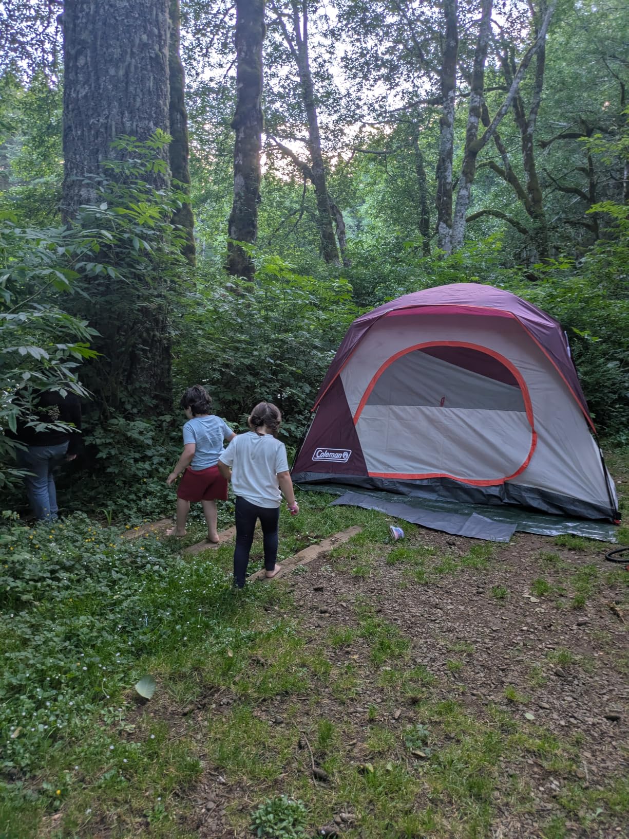 Coleman Skydome Camping Tent with 5 Minute Setup, Weatherproof Tent with Rainfly & Carry Bag customer photo 1