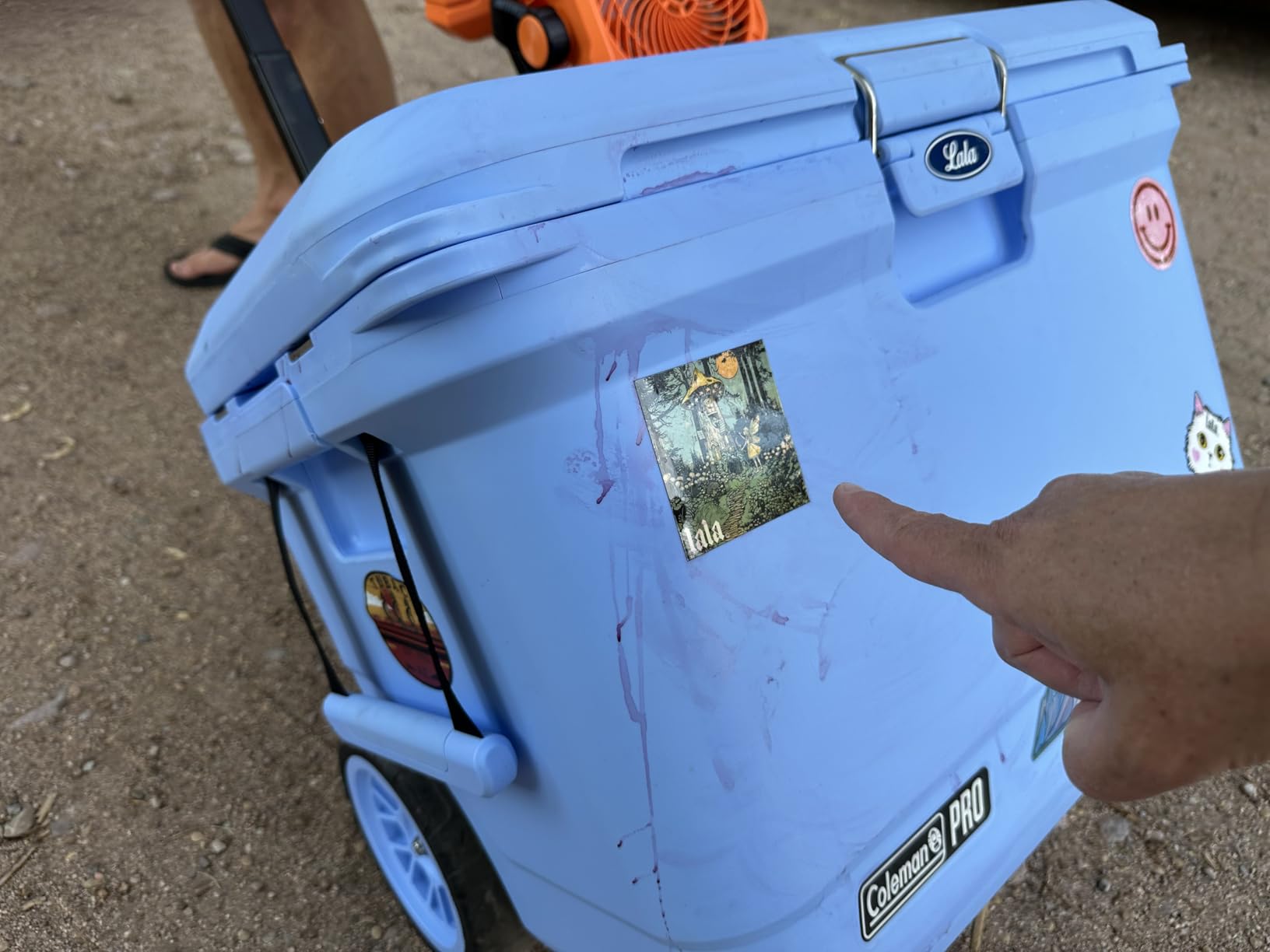 Coleman Pro Heavy-Duty 25qt Ultra-Light Premium Hard Cooler, Extra-Thick Insulation Keeps Ice up to 3 Days customer photo 2