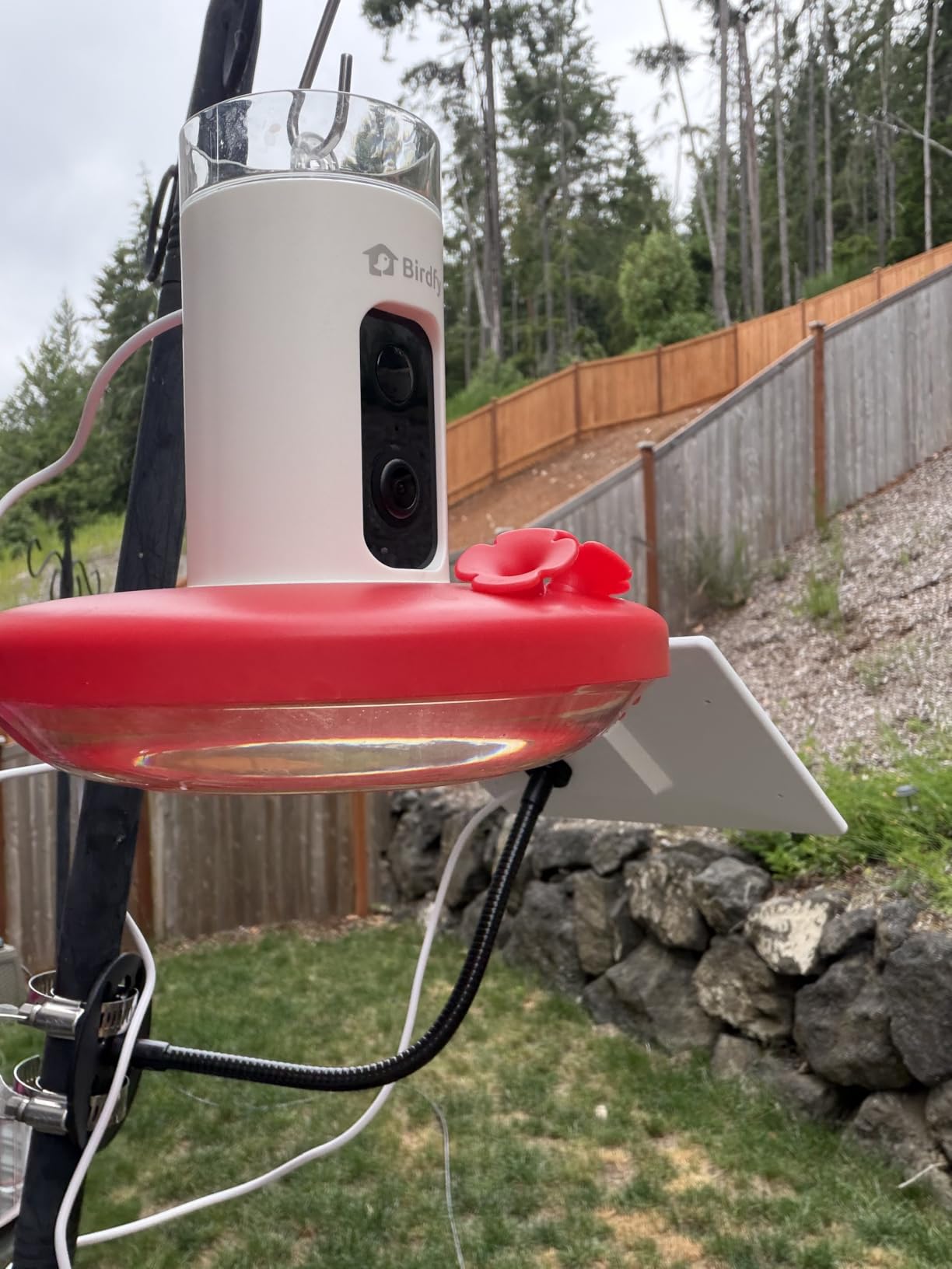 Birdfy Smart Hummingbird Feeder with Camera, Auto Detect Record Bird Video, Instant Notification, Live View, Solar Powered Hummingbird Feeders for Outdoors Ant Bee Proof, 14oz, Gift for Bird Lovers customer photo 2