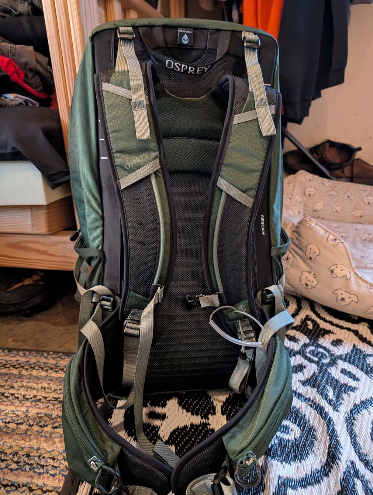 Osprey Talon 22L Men's Lightweight Hiking Backpack - Small Daypack for Travel & Camping, Phantom Grey/Dark Charcoal customer photo 2