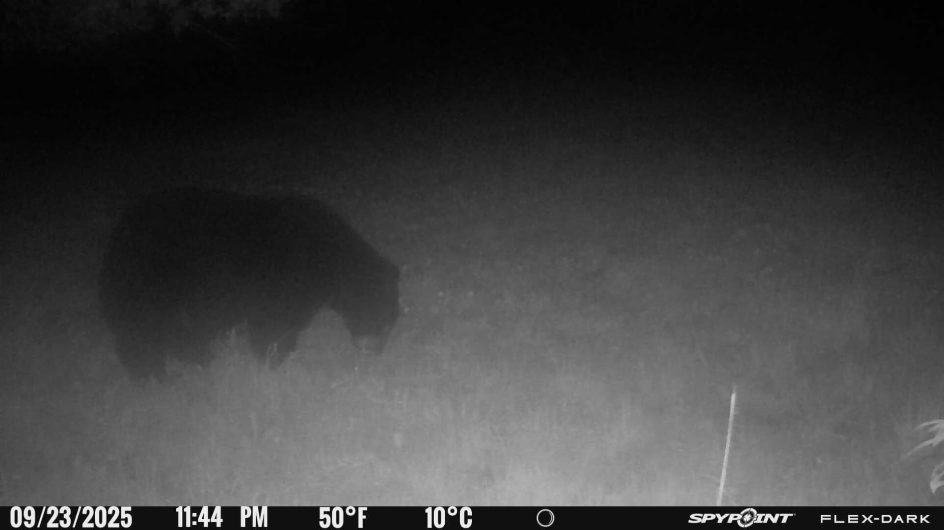 SPYPOINT Flex-Dark Cellular Trail Camera, 40MP Photos, 1080p Video + Sound, No-Glow Game Camera, Hunting Night Vision, Motion Activated,100ft Detection, No WiFi Needed Trail Cam customer photo 1