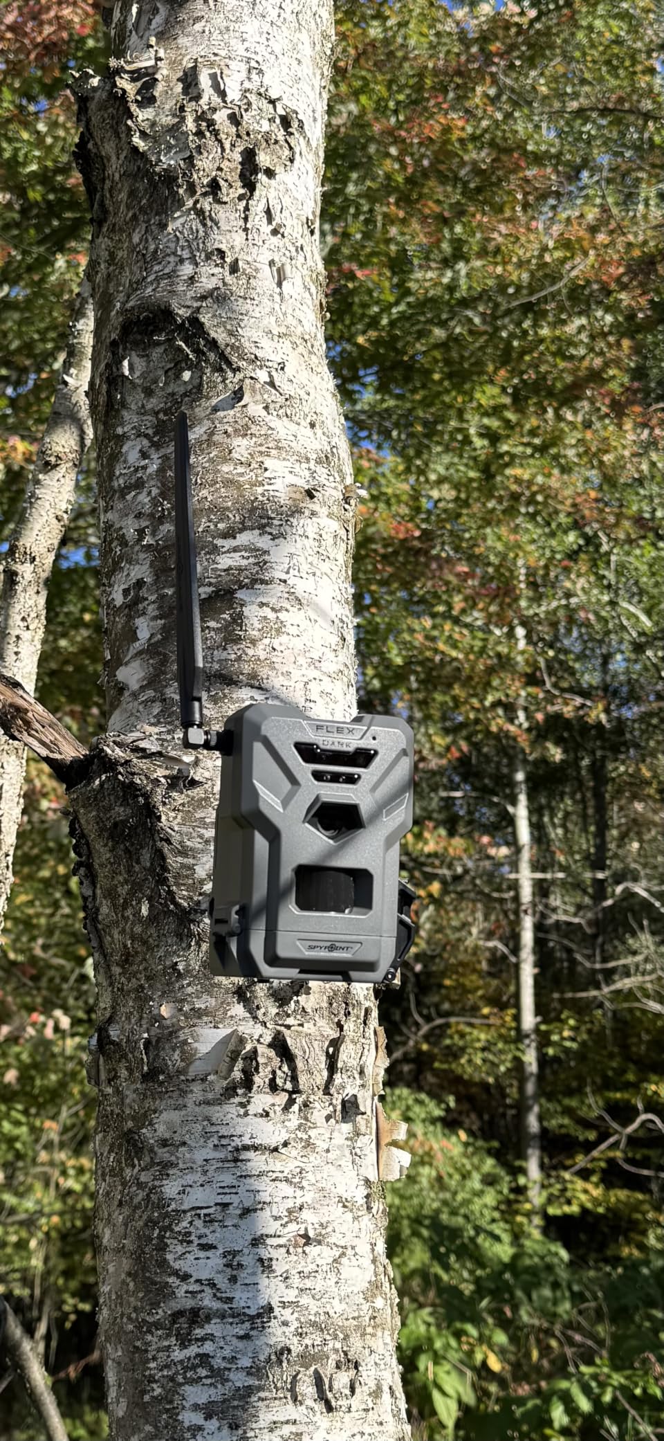 SPYPOINT Flex-Dark Cellular Trail Camera, 40MP Photos, 1080p Video + Sound, No-Glow Game Camera, Hunting Night Vision, Motion Activated,100ft Detection, No WiFi Needed Trail Cam customer photo 2