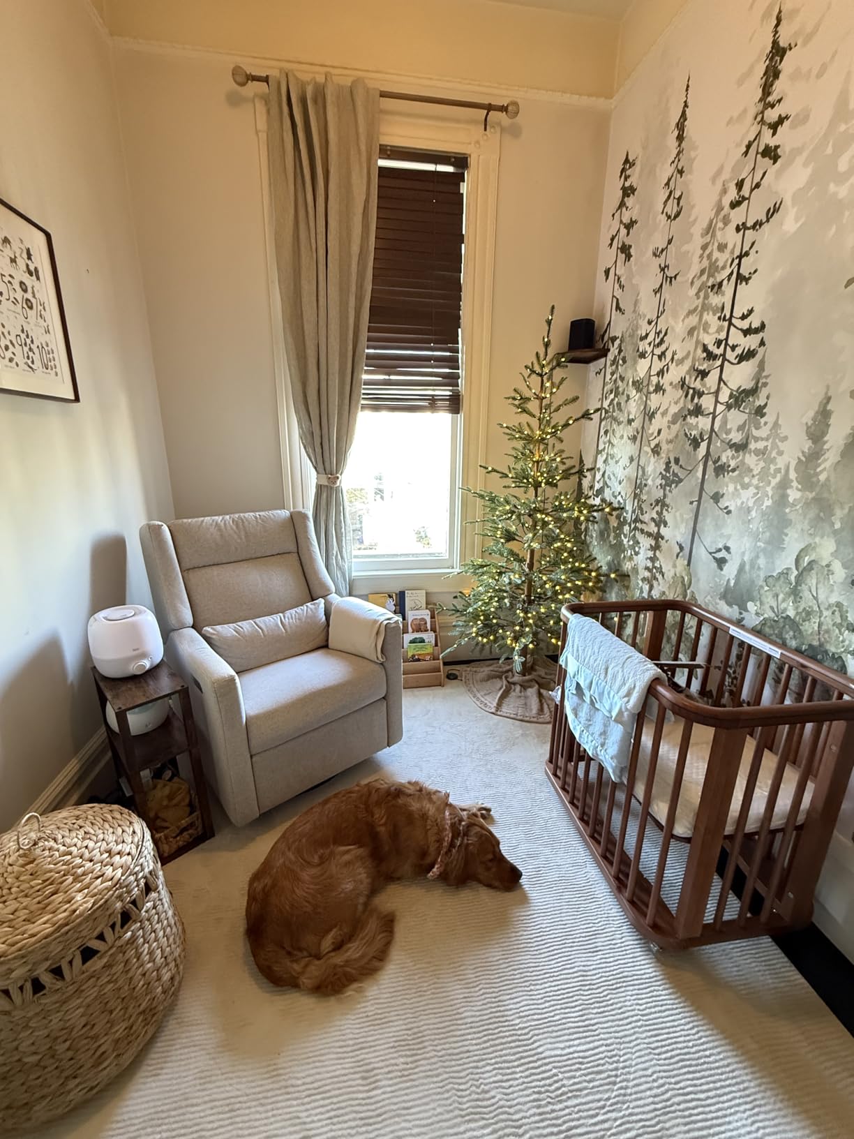 Kiwi Plus Electric Recliner Glider in Almond Teddy Loop | Babyletto GREENGUARD Gold & CertiPUR-US Certified - Power Recliner Rocking Nursery Chair w/ USB Ports - 270° Swivel customer photo 1