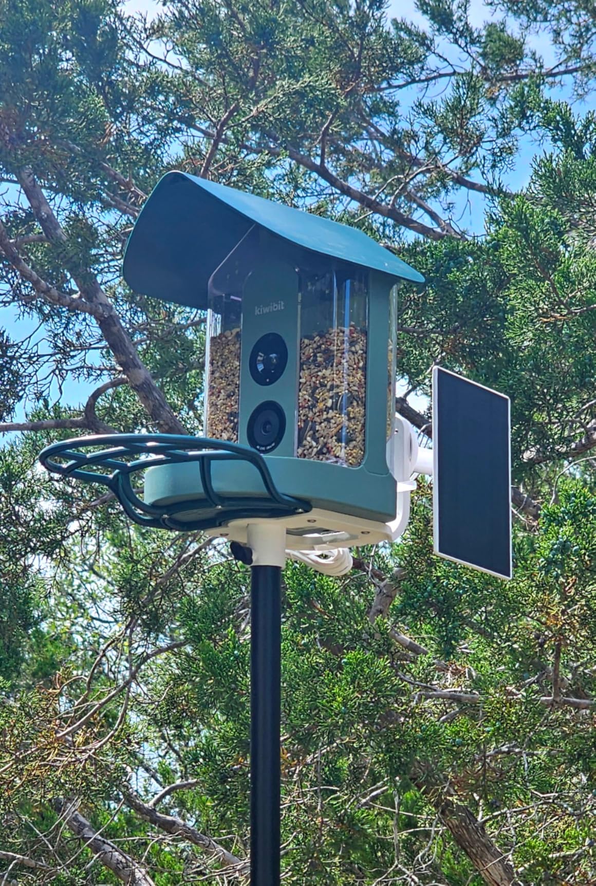 Kiwibit Smart Bird Feeder with Camera Solar Powered, 4K Video Live Stream, 8MP Photos, AI Identification Bird Specie 10,000+ Real-Time Bird Alert, Birdwatching Gift for Loved One, Green customer photo 2