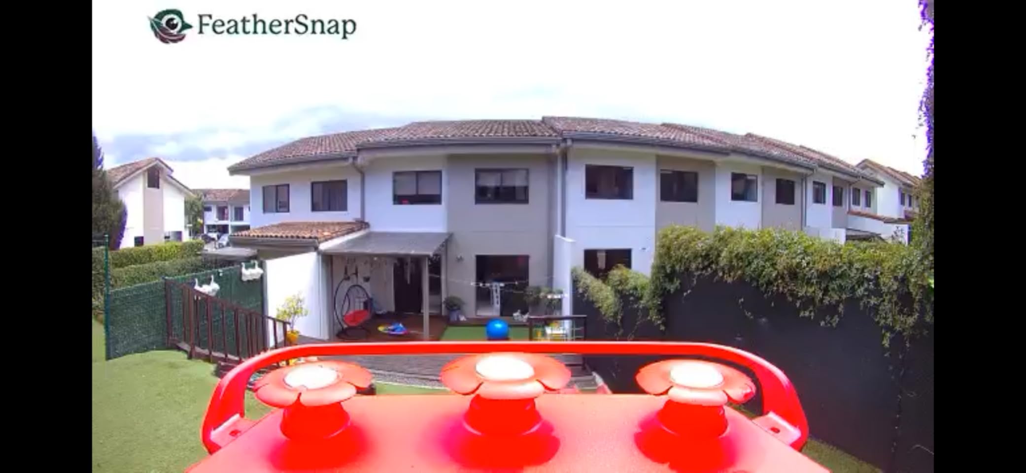 FeatherSnap Smart Hummingbird Feeder: AI Bird ID, Wi-Fi and Solar Power, Stunning HD Images and Videos are Sent Directly to Your Phone, Easy to Clean and Hang - Best Smart Hummingbird Feeder customer photo 2