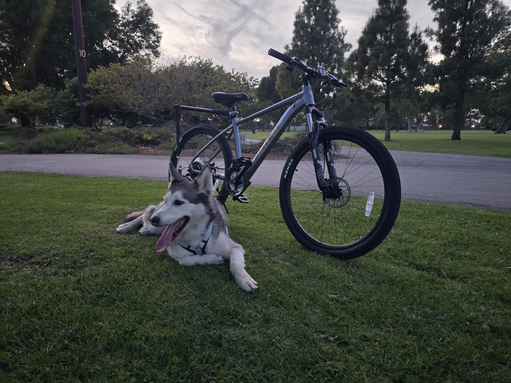 TRIFOX 26 Inch Aluminum Mountain Bike with Shimano 21-Speed, Aircraft-Grade Aluminum Frame, Dual Disc Brakes, 15/17 Inch Internal Cable Routing Frame for Men Women Boys Girls customer photo 1