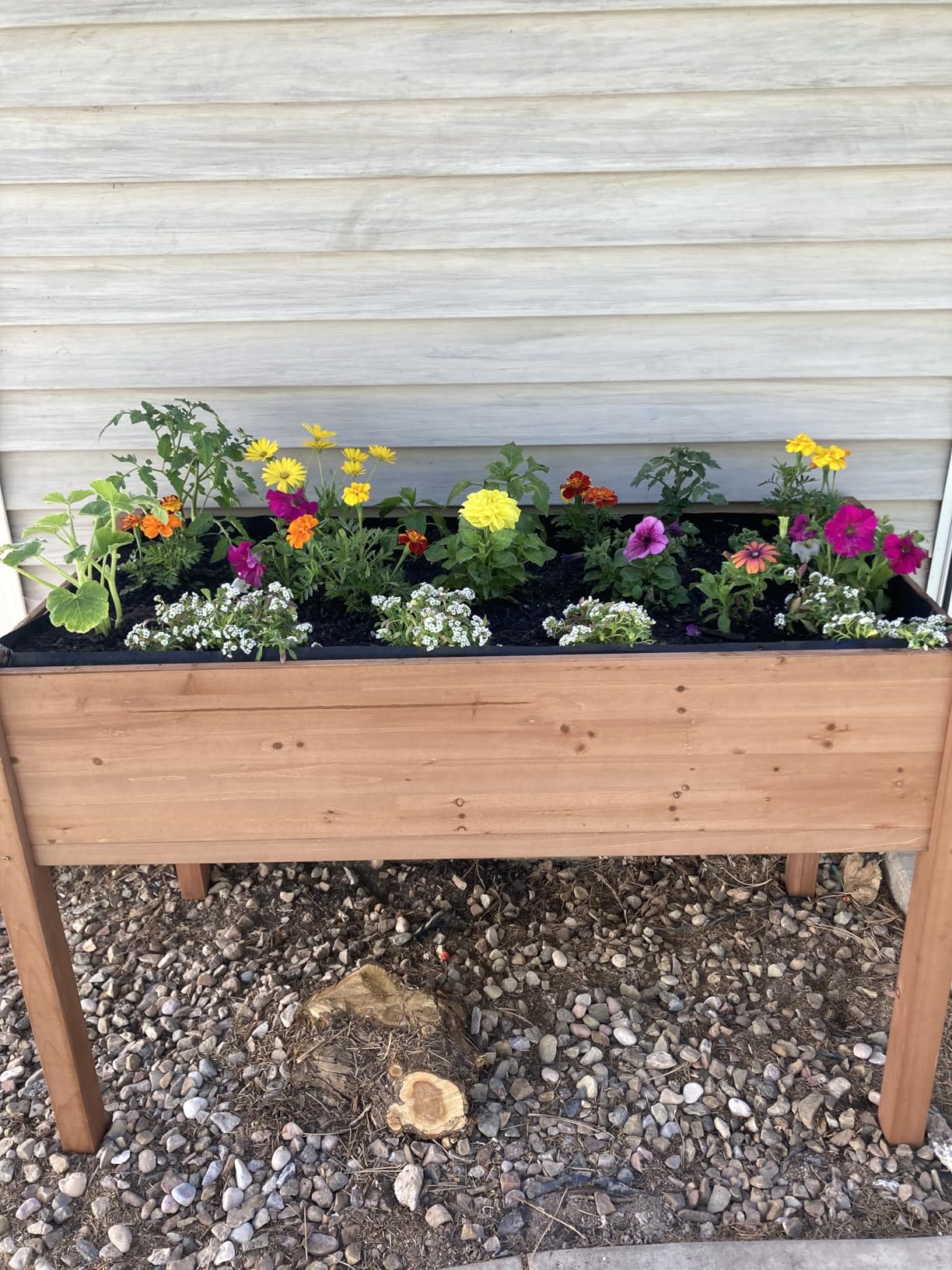 Raised Garden Bed with Legs, 48×24×30 Cedar Wood Elevated Planter Box | Large Growing Capacity, Premium Cedar Wood, Drainage Holes & Liner, Perfect for Outdoor Gardening, Ergonomic Gardening Height customer photo 1