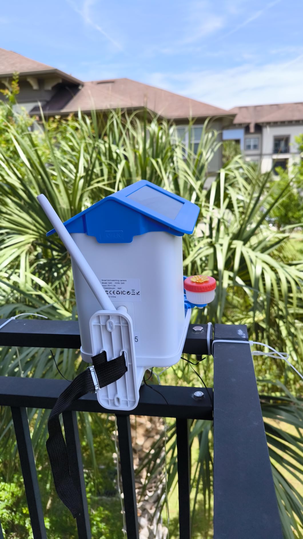 Smart Bird Feeder with Camera, AI Identifies 16,000+ Birds, Solar Powered, 2.5K HD, Auto Capture & Notify, Ideal Gift for Bird Lovers customer photo 1