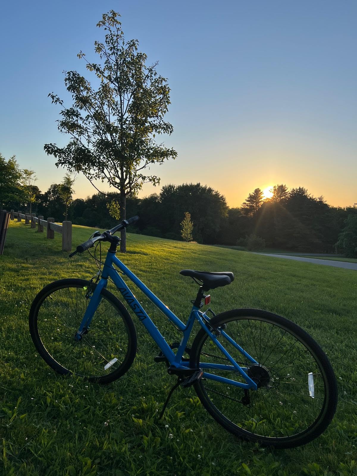 Populus 700C Road Bike for Women with Kickstand, Lightweight Step Through Aluminum Alloy Frame, 7-Speed Drivetrain, Multiple Colors customer photo 1
