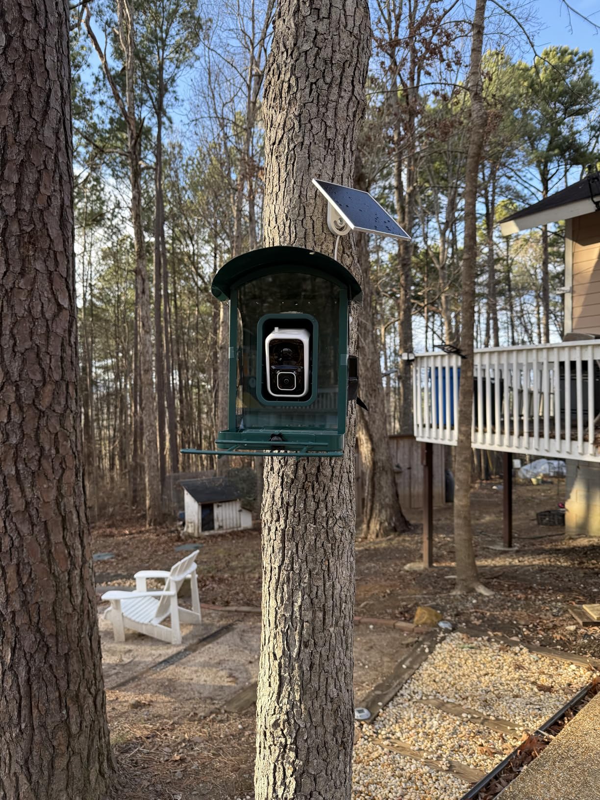 Bird Feeder with Camera, 4K Ultra HD Video with 30fps Live View, 10x Slow Motion, No Subscription, Solar Powered AI Smart Bird Feeder with Camera, 2.4G/5G Wi-Fi, Durable Metal, Bird Lover Gift customer photo 1