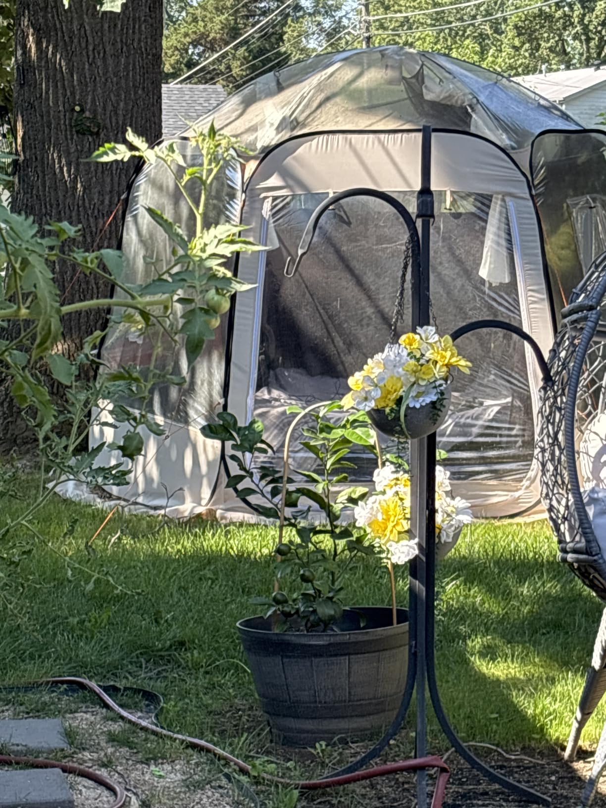 VEVOR Pop up Sports Tent, Clear Bubble Tent for 1-6 Person, Waterproof Outdoor Pod with Floor Mat & Top Cover, Garden Igloo Dome Tents customer photo 1