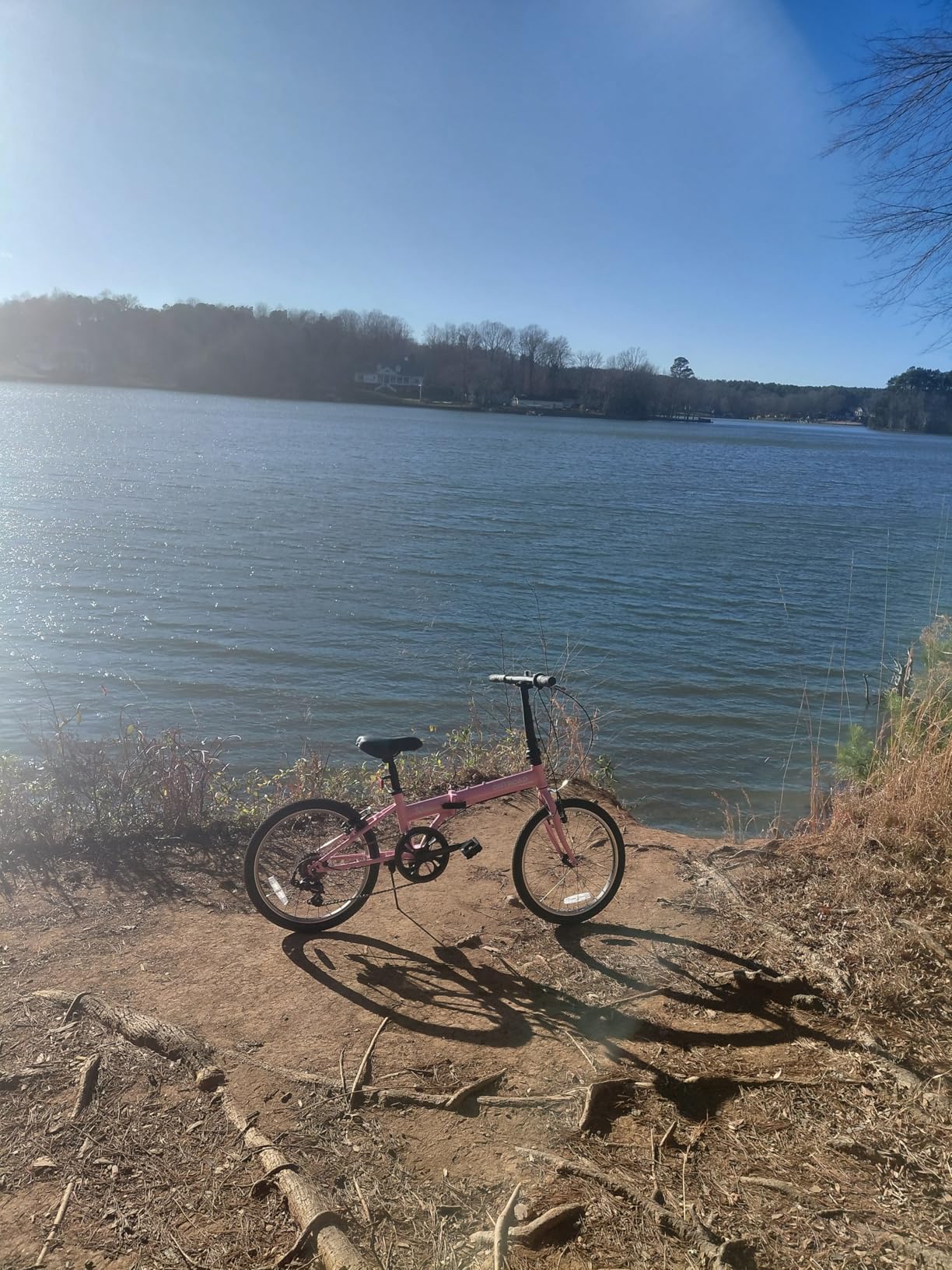 Outroad 20 Inch Folding Bike, 7-Speed Lightweight Foldable Bicycle for City Commuting customer photo 1