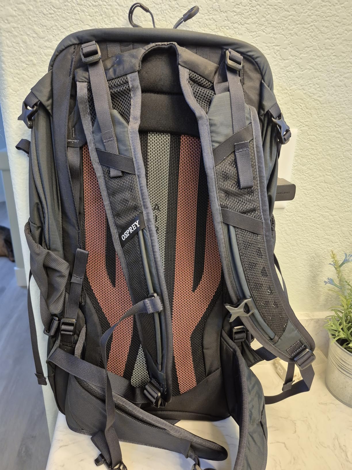 Osprey Sportlite 15L Lightweight Hiking Backpack for Men and Women - Everyday Hiking Bag - Travel Daypack, Olive Tan customer photo 1