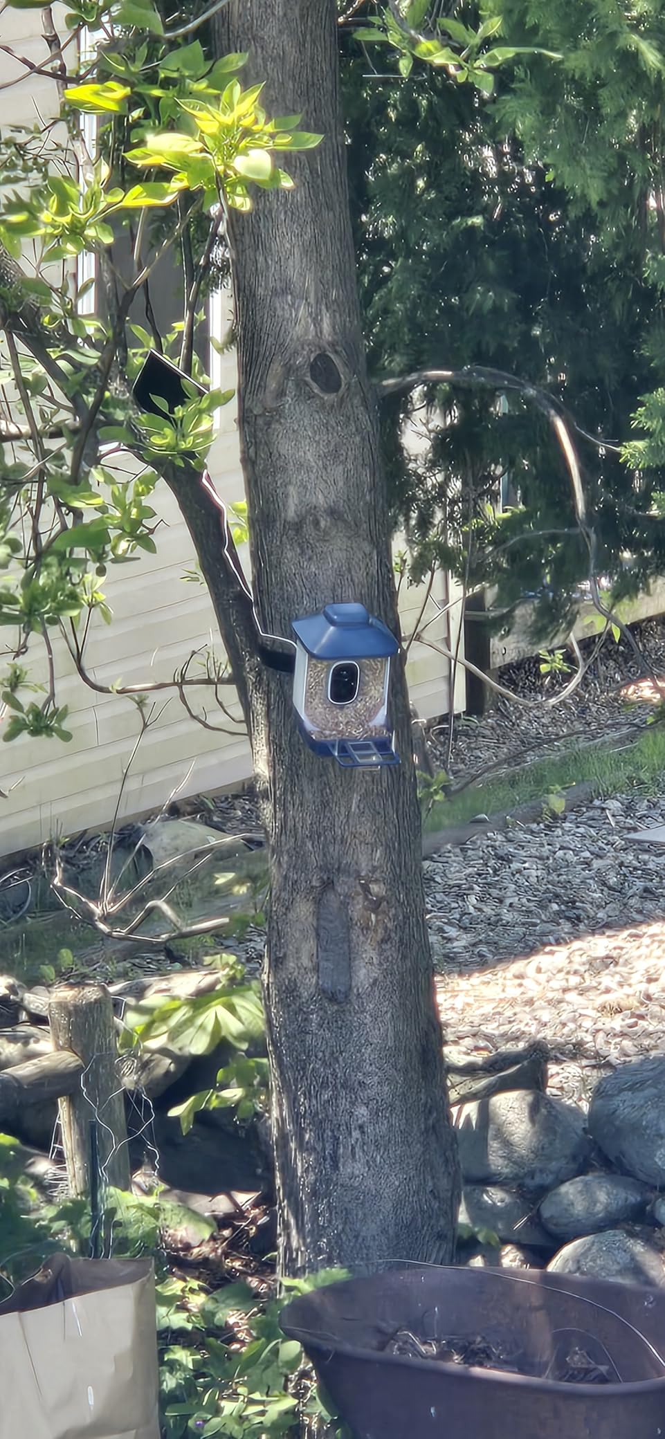 Bird Feeder with Camera, AI Bird Identification, Full HD Live Video, Solar Powered, 2.4Ghz WiFi, Instant Arrival Alerts - Best Gifts for Bird Lover customer photo 1