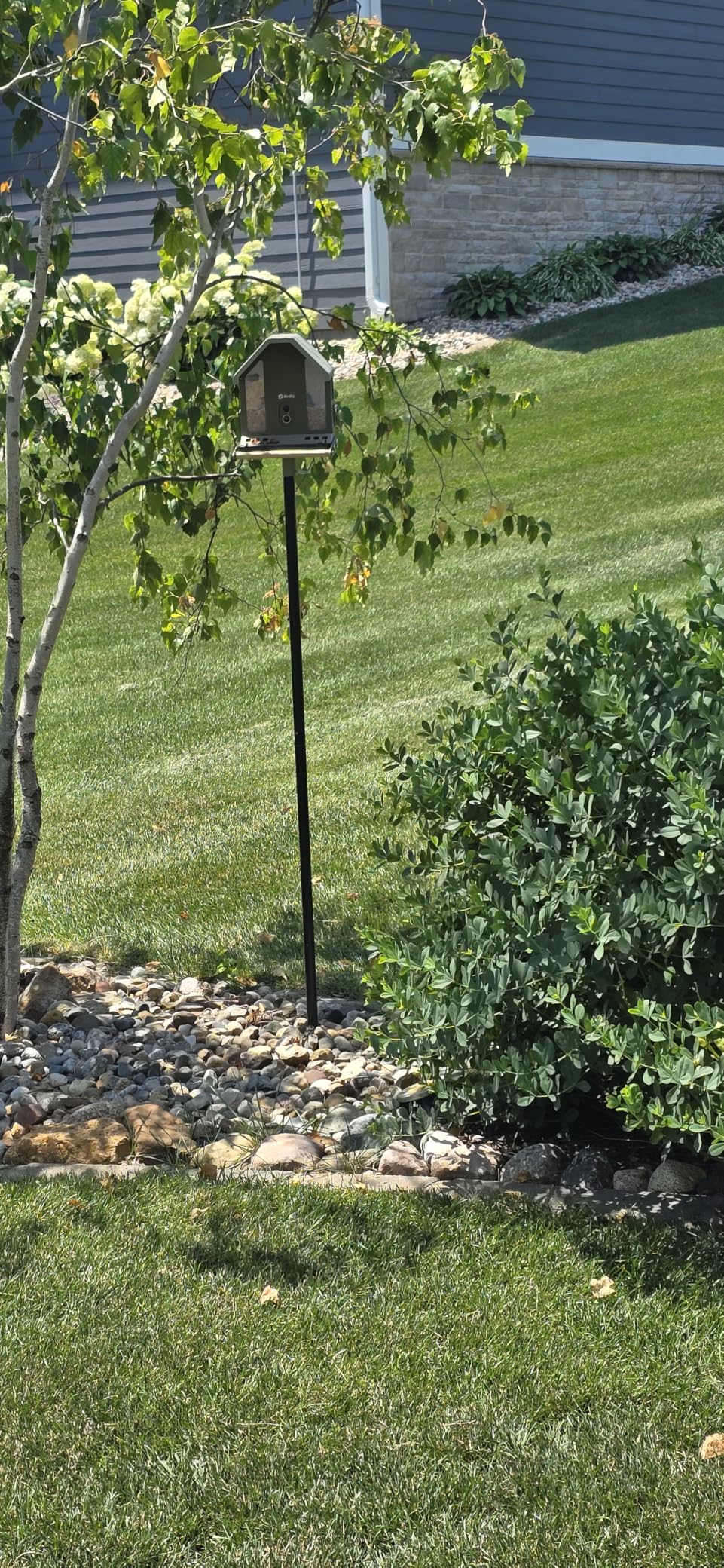 Birdfy Smart Bird Feeder with Camera, 4K UHD Video, Dual-Band 2.4/5GHz Wi-Fi, Solar Powered, AI Identification Lifetime Free, Bird Watching Gift for Bird Lovers customer photo 2
