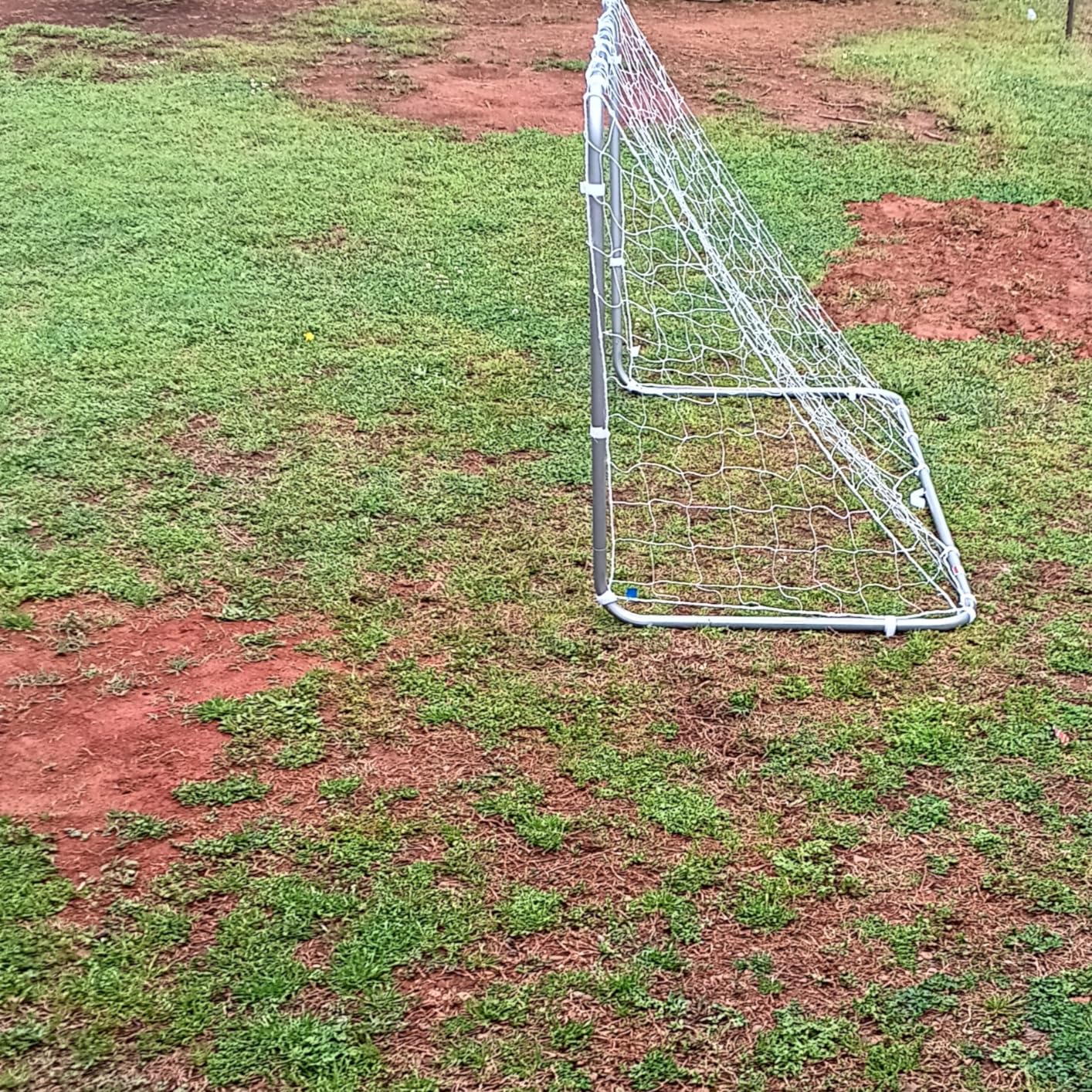 Franklin Sports Competition Soccer Goals - Backyard Portable Steel Soccer Goals - Adult + Youth Soccer Goal with Net + Ground Stakes Included - Multiple Sizes + Colors customer photo 1