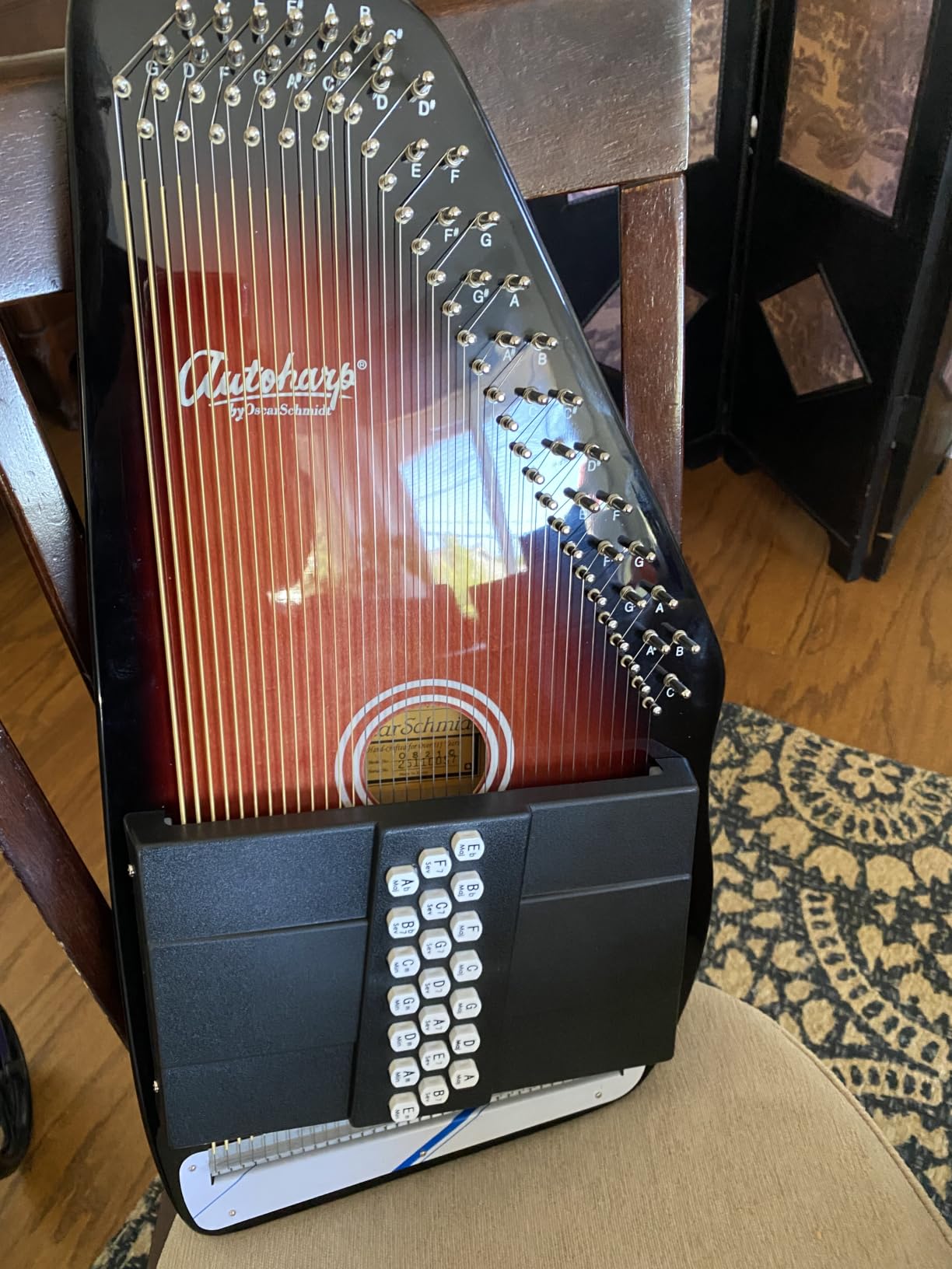Autoharp by Oscar Schmidt 21 Chord Maple Body Autoharp, Rock maple pin block customer photo 1