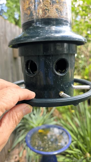 Squirrel Buster Plus Squirrel-proof Bird Feeder w/Cardinal Ring and 6 Feeding Ports, 5.1-pound Seed Capacity, Adjustable, Pole-mountable (POLE ADAPTOR SOLD SEPARATELY), Green customer photo 2