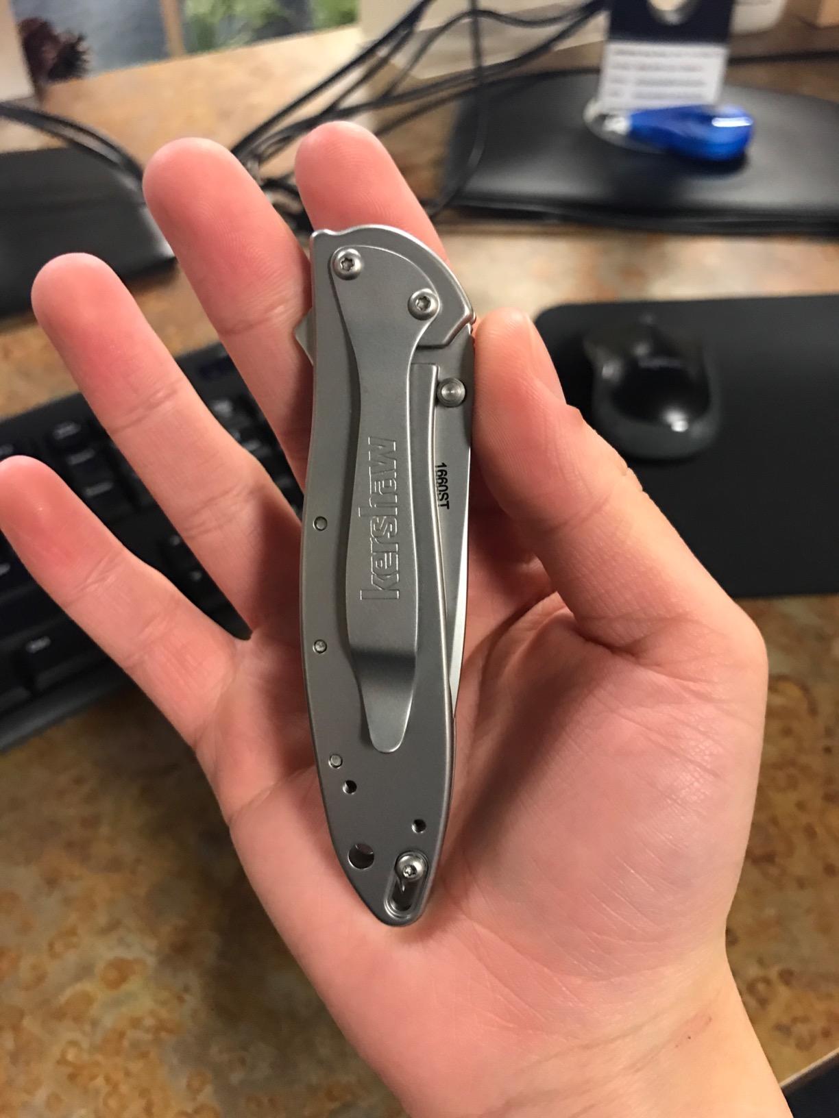 Kershaw Leek, BlackWash Pocket Knife (1660BLKW); 3