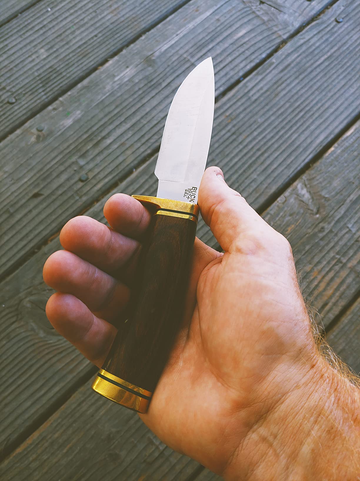 Buck Knives 192 Vanguard Hunting Knife, 4-1/4
