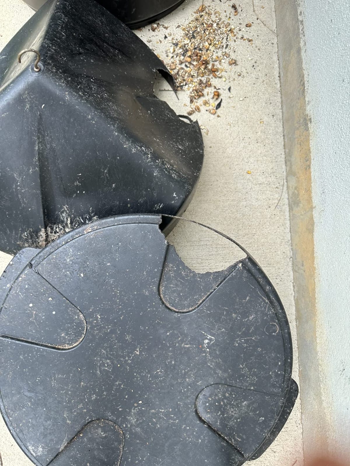 On Time 71540 Buckeye Gravity Feeder customer photo 2